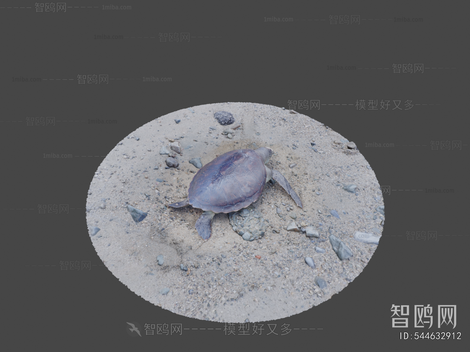 Modern Aquatic Animals