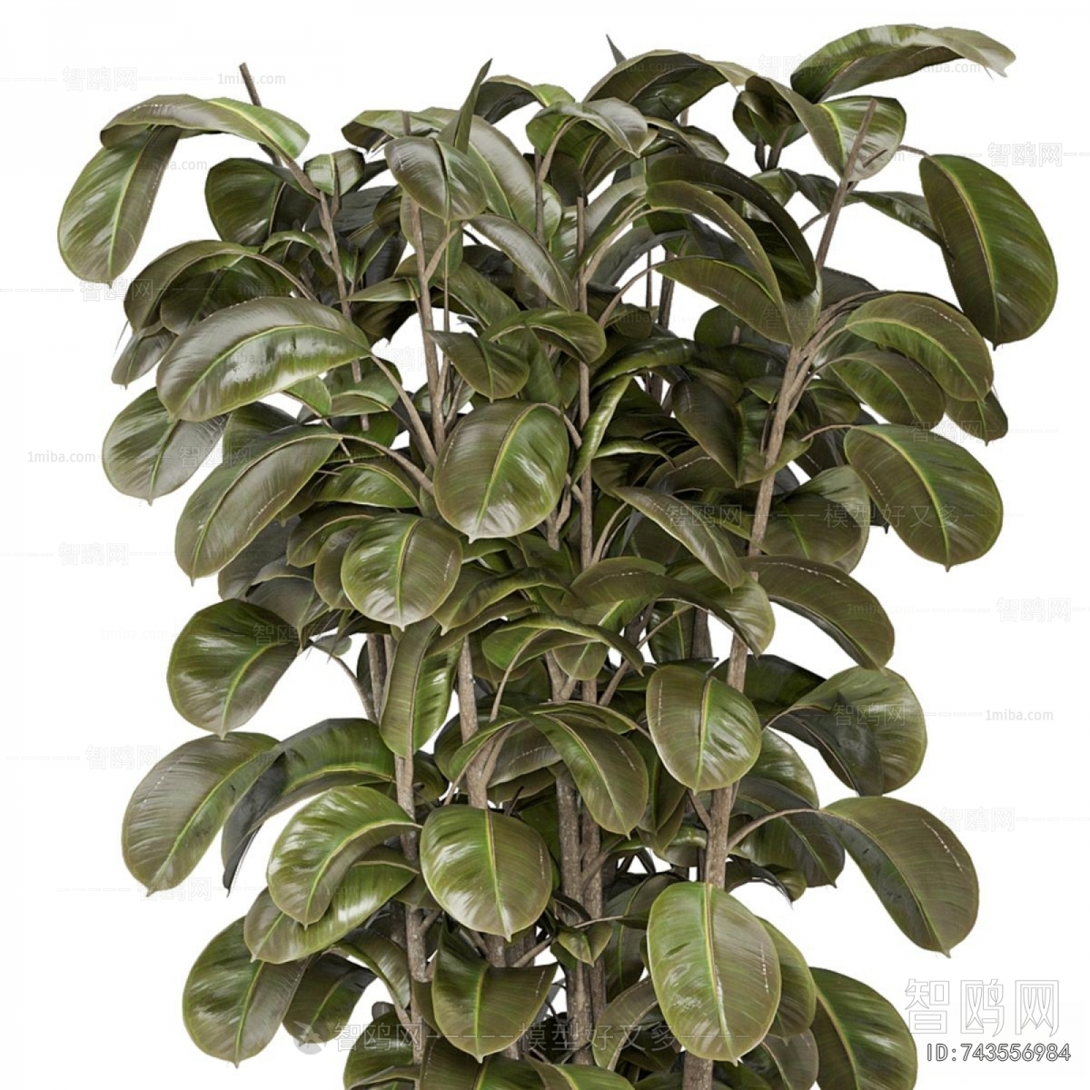 Modern Ground Green Plant Potted Plants