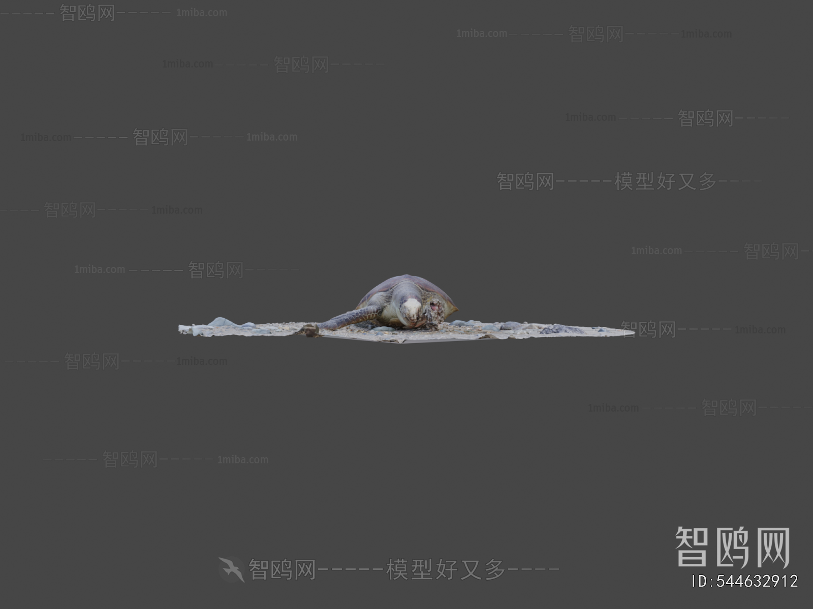 Modern Aquatic Animals