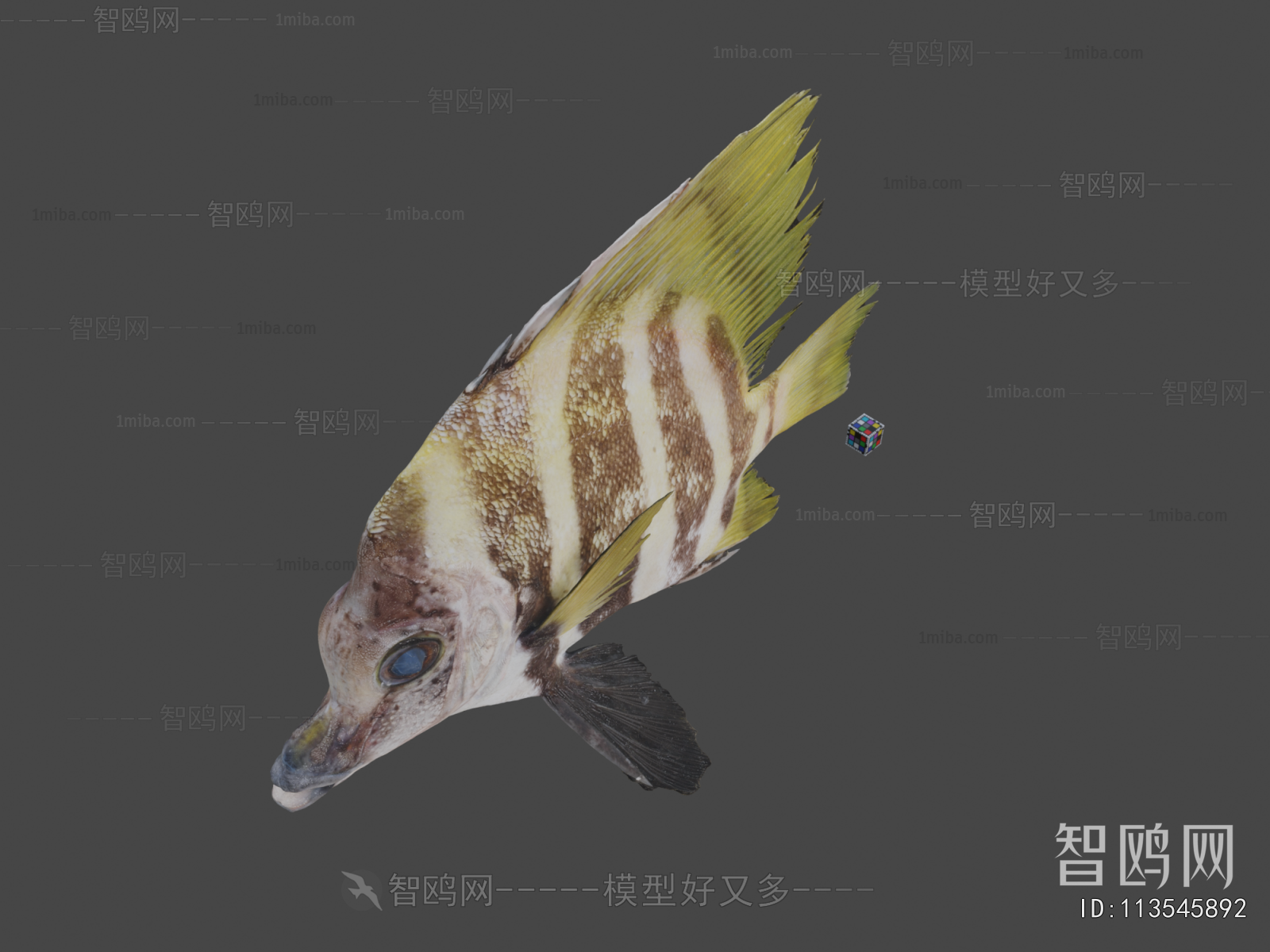 Modern Aquatic Animals