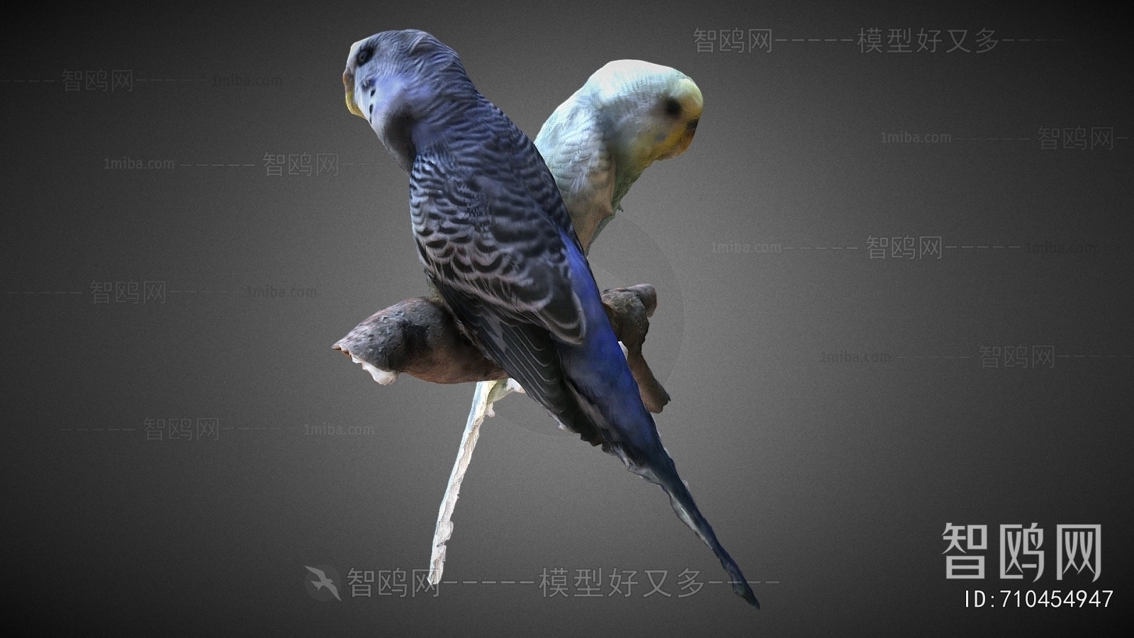 Modern Flying Animals