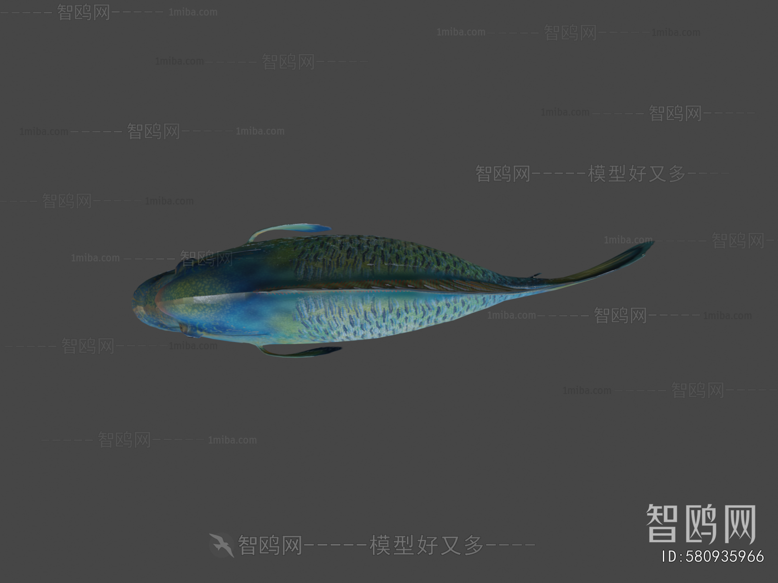 Modern Aquatic Animals