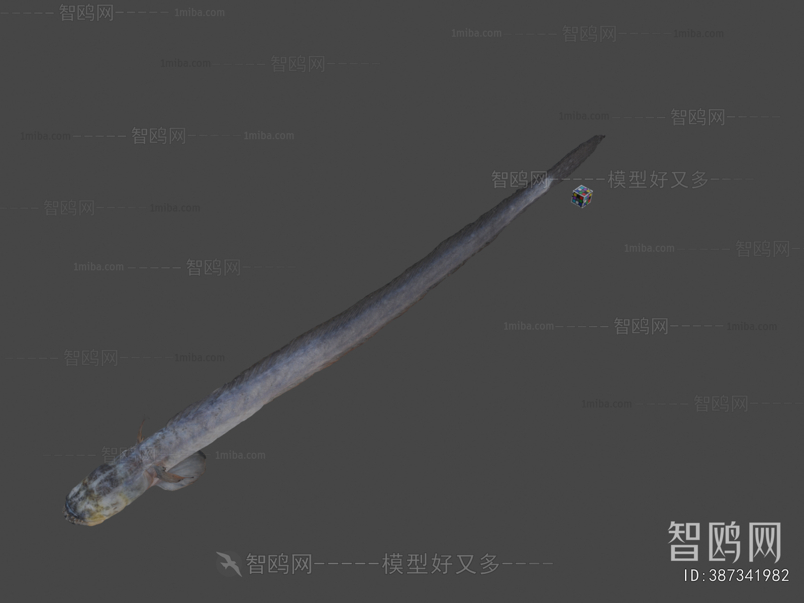 Modern Aquatic Animals