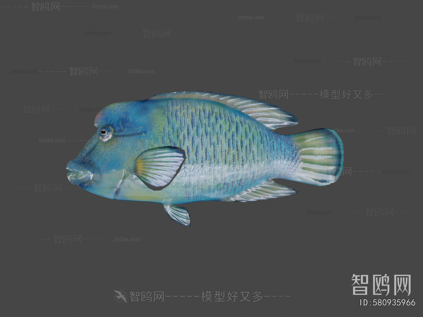 Modern Aquatic Animals