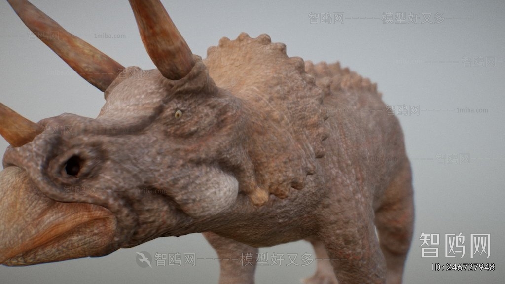 Modern Other Animals