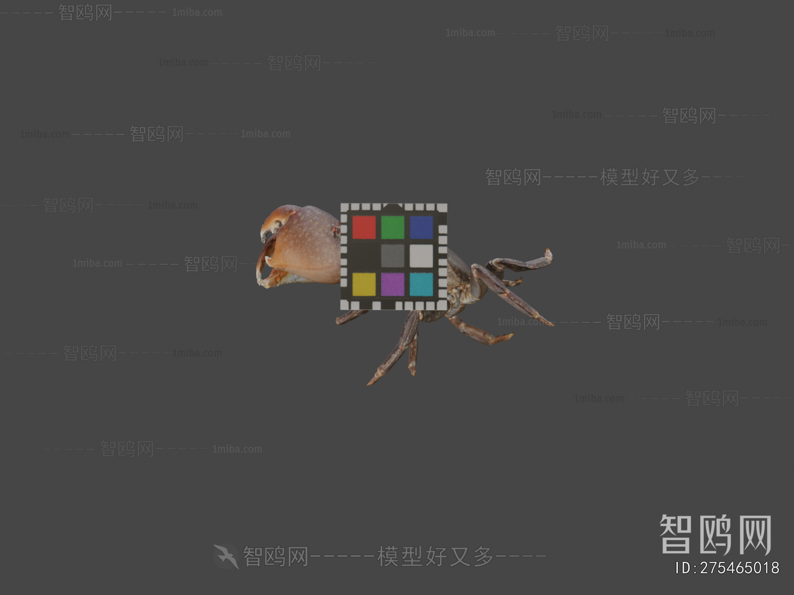 Modern Aquatic Animals