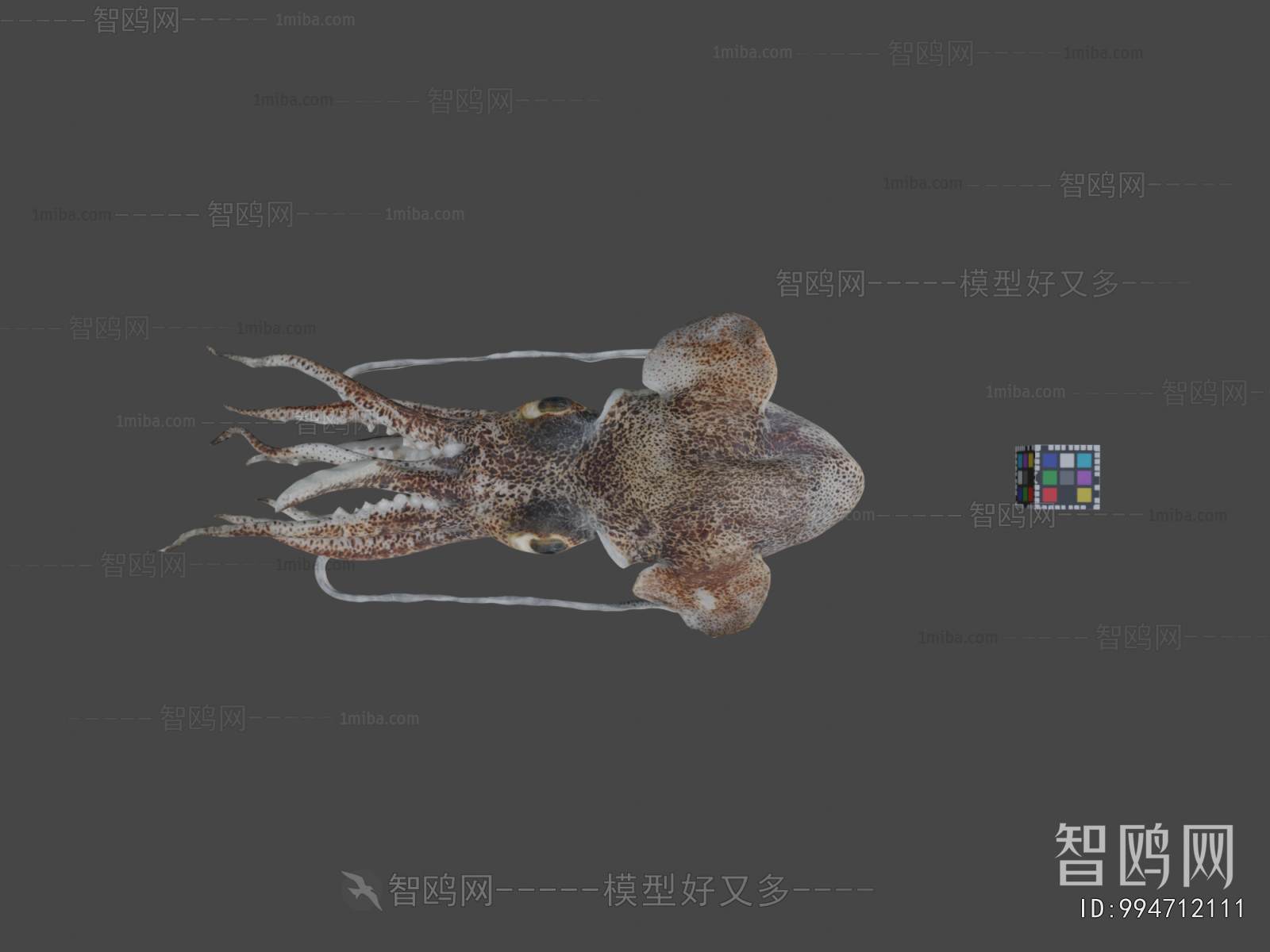 Modern Aquatic Animals