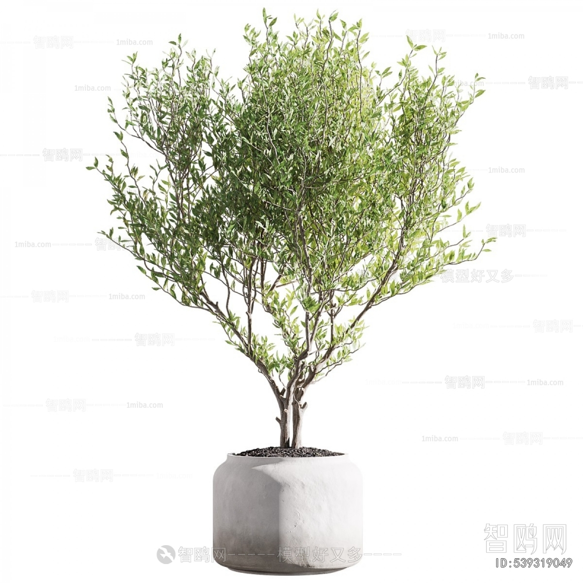 Modern Potted Green Plant