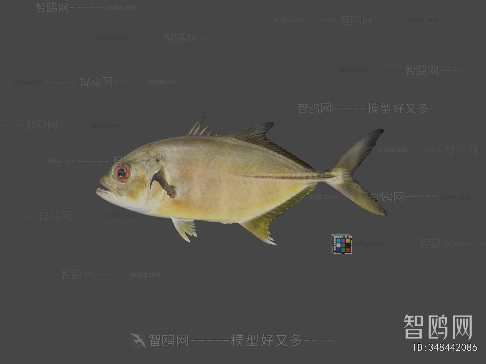 Modern Aquatic Product