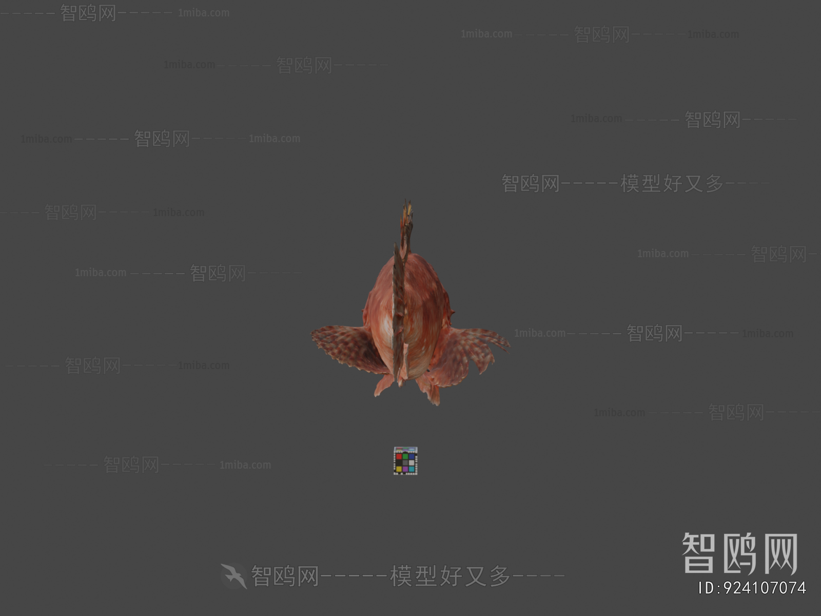 Modern Aquatic Animals