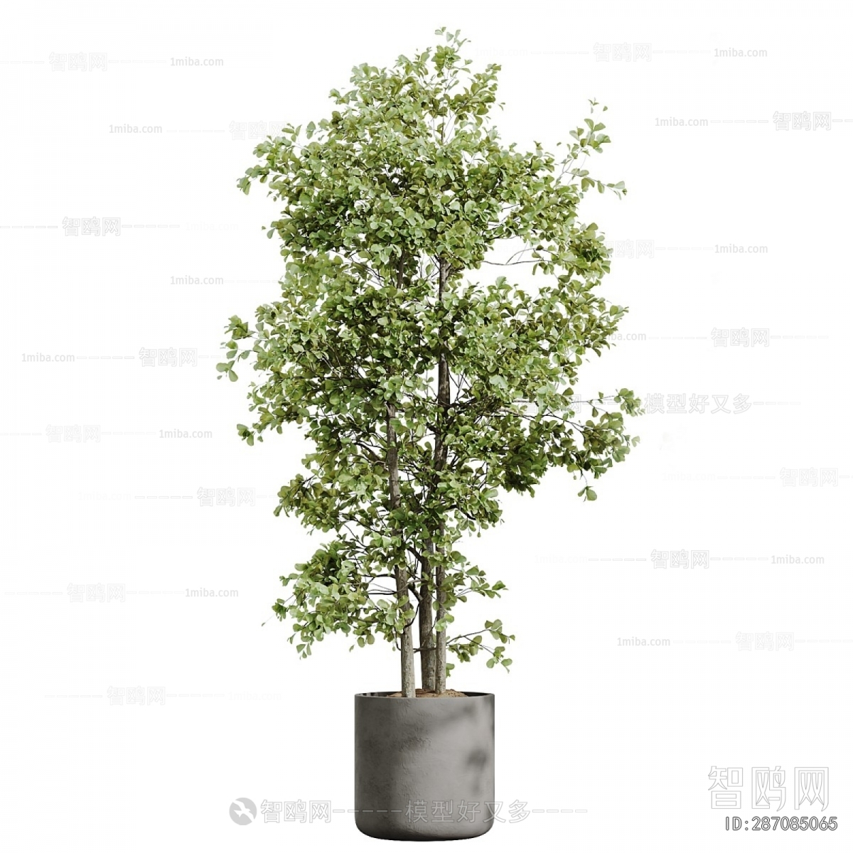 Modern Ground Green Plant Potted Plants