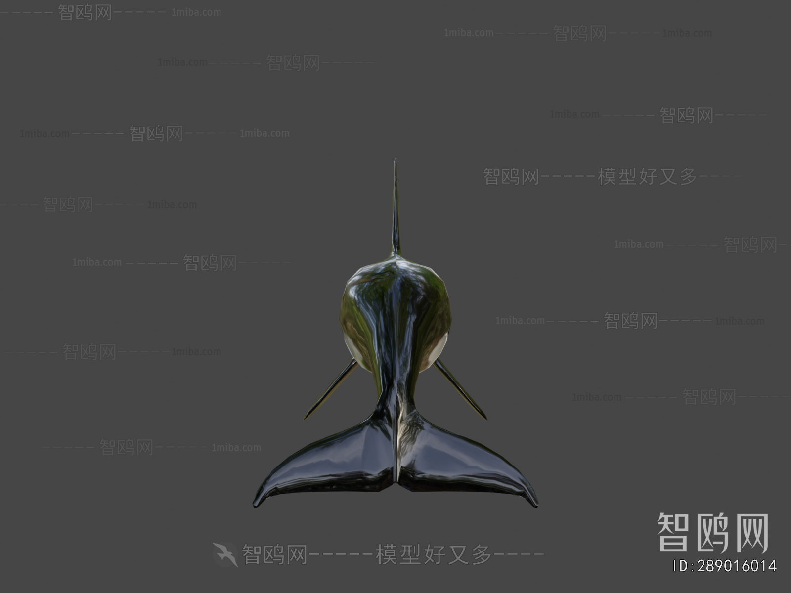 Modern Aquatic Animals