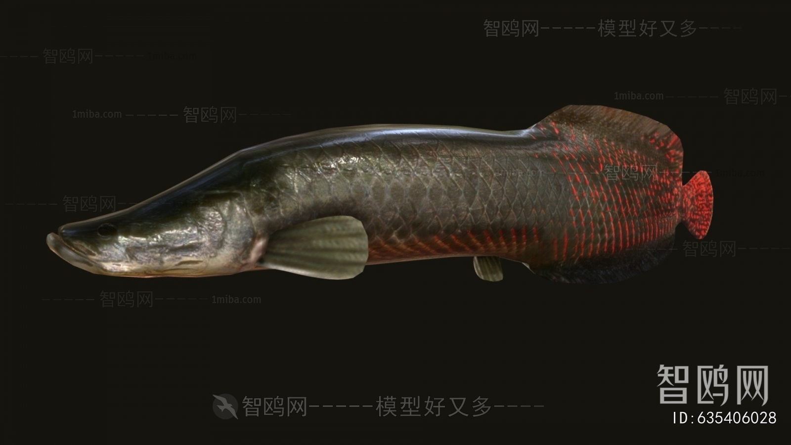 Modern Aquatic Animals