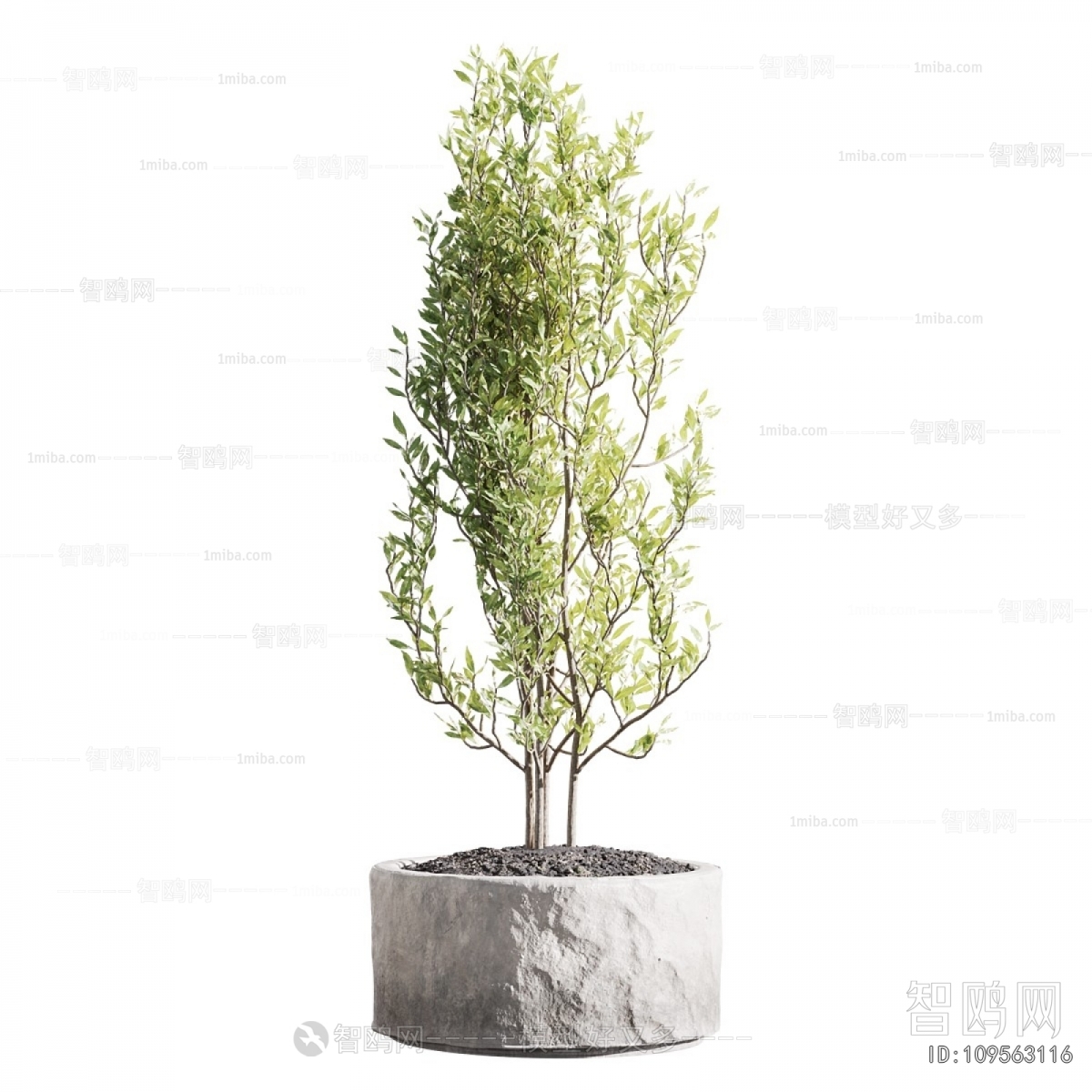 Modern Ground Green Plant Potted Plants
