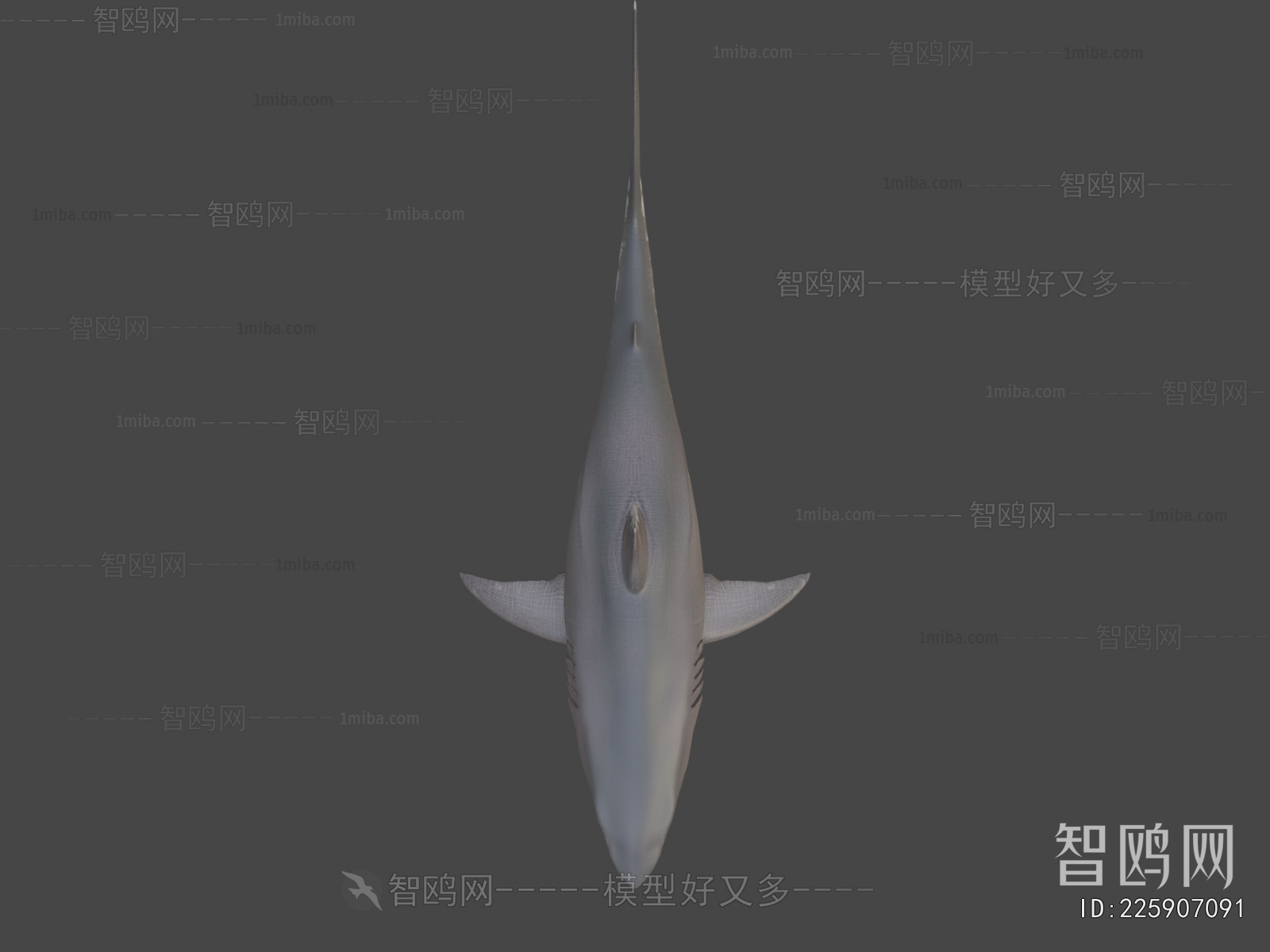 Modern Aquatic Animals