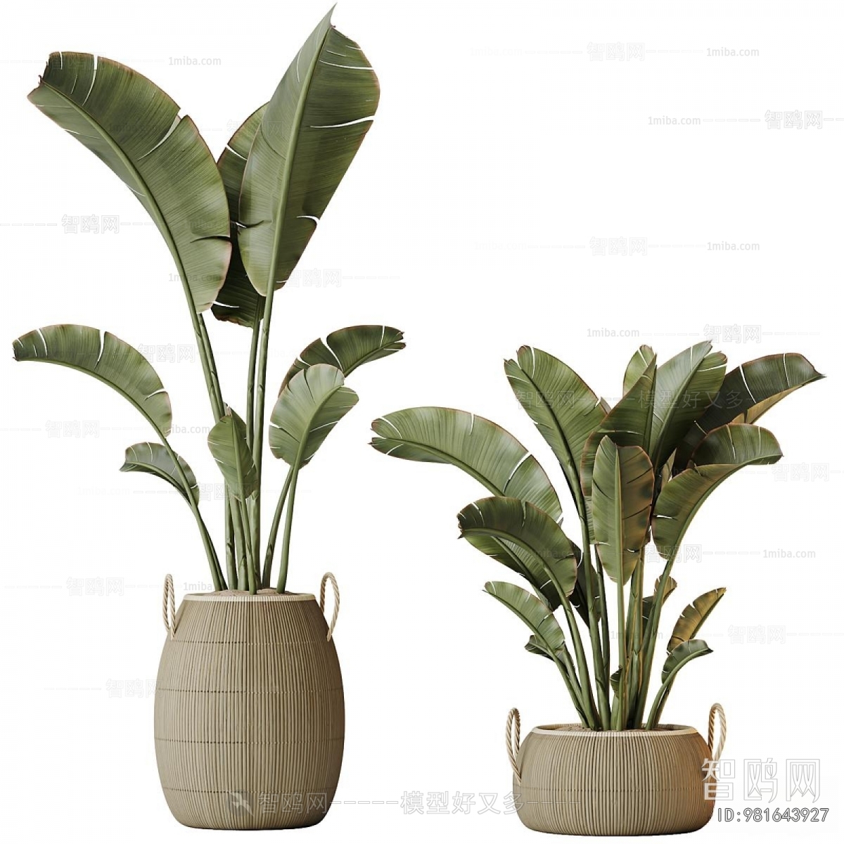 Modern Ground Green Plant Potted Plants