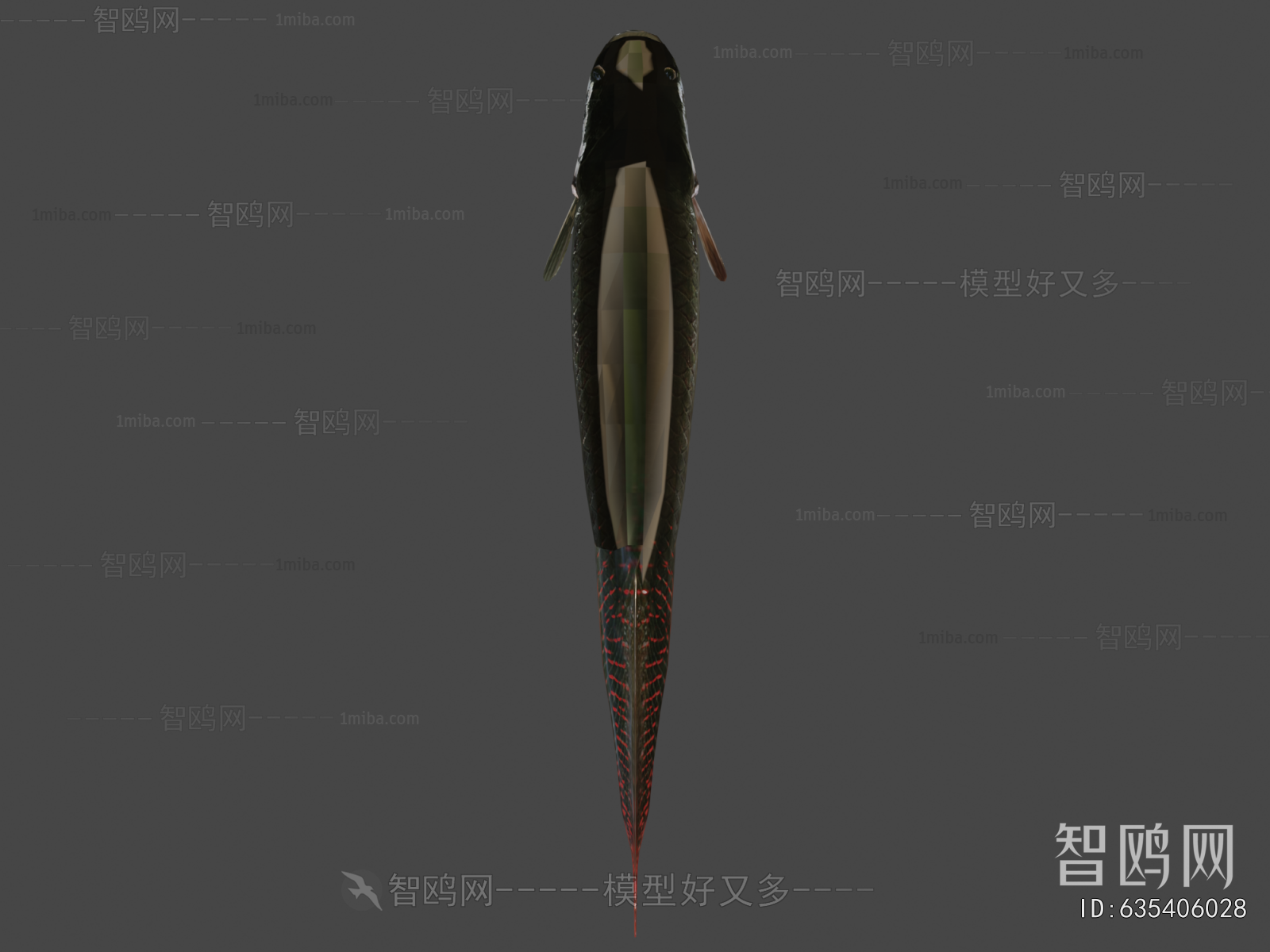 Modern Aquatic Animals