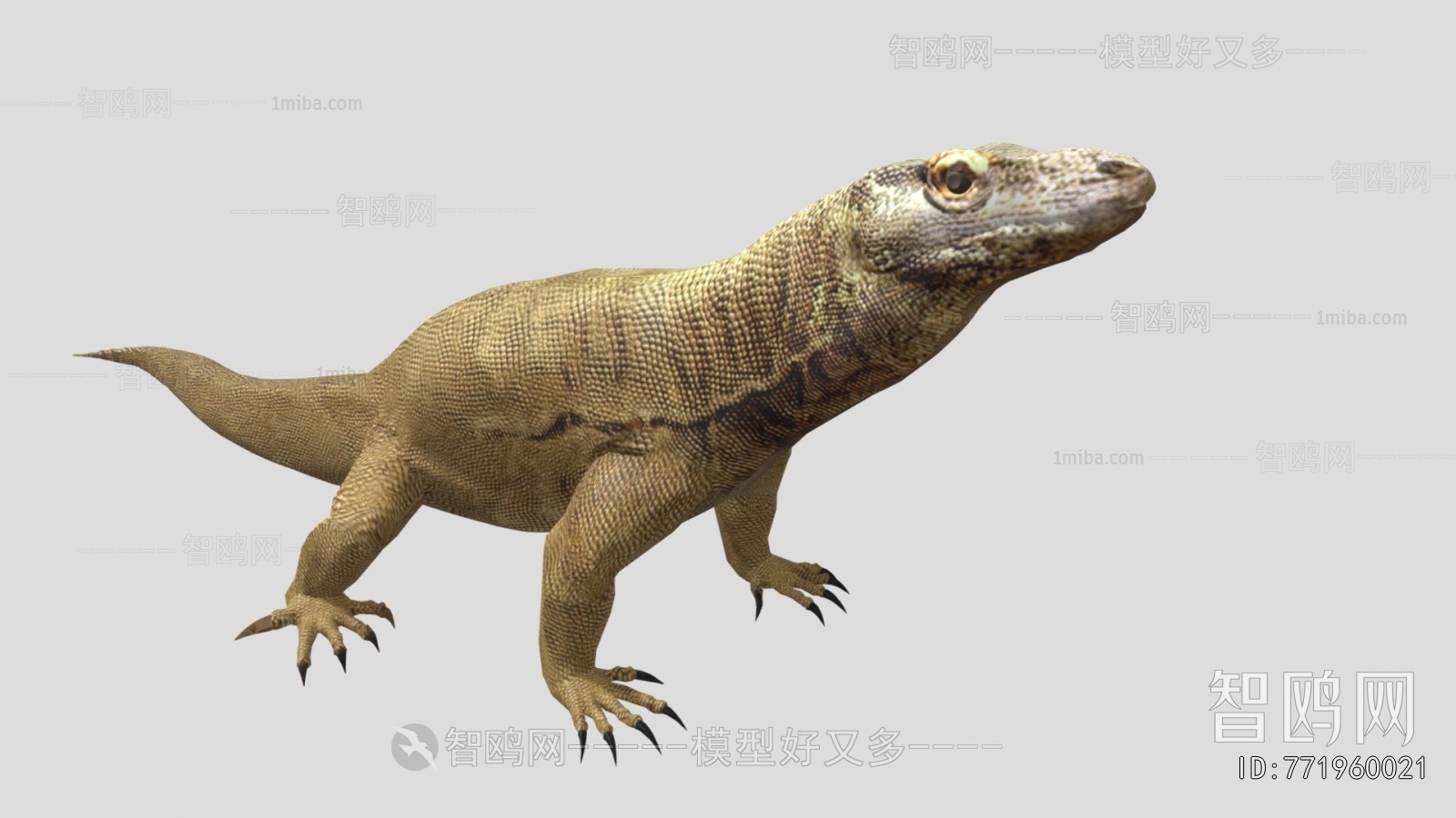 Modern Other Animals