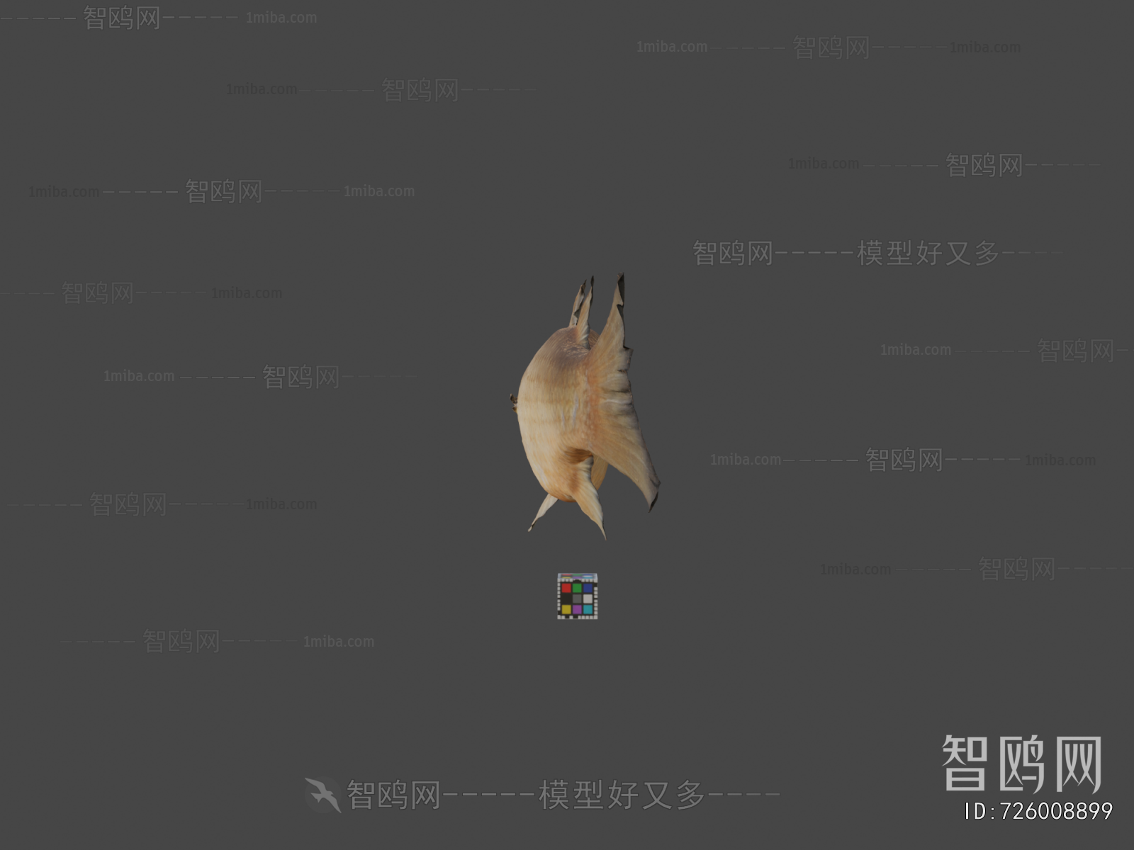 Modern Aquatic Animals