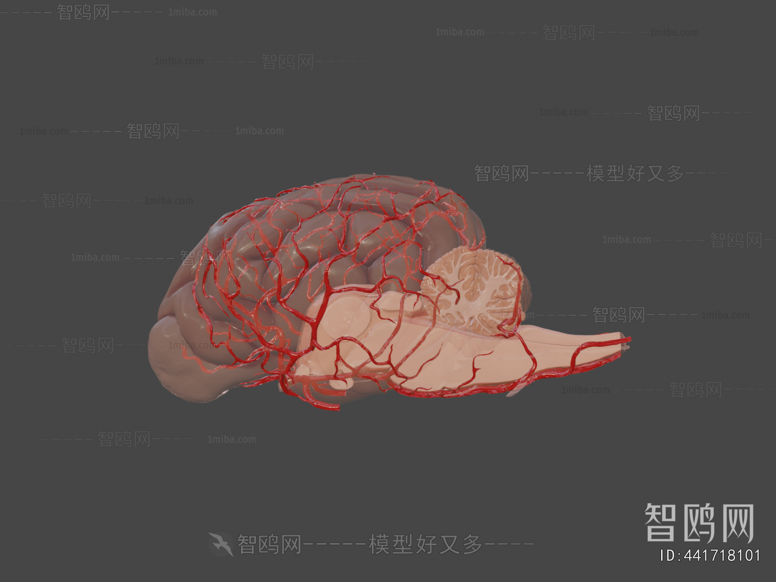 Modern Medical Equipment