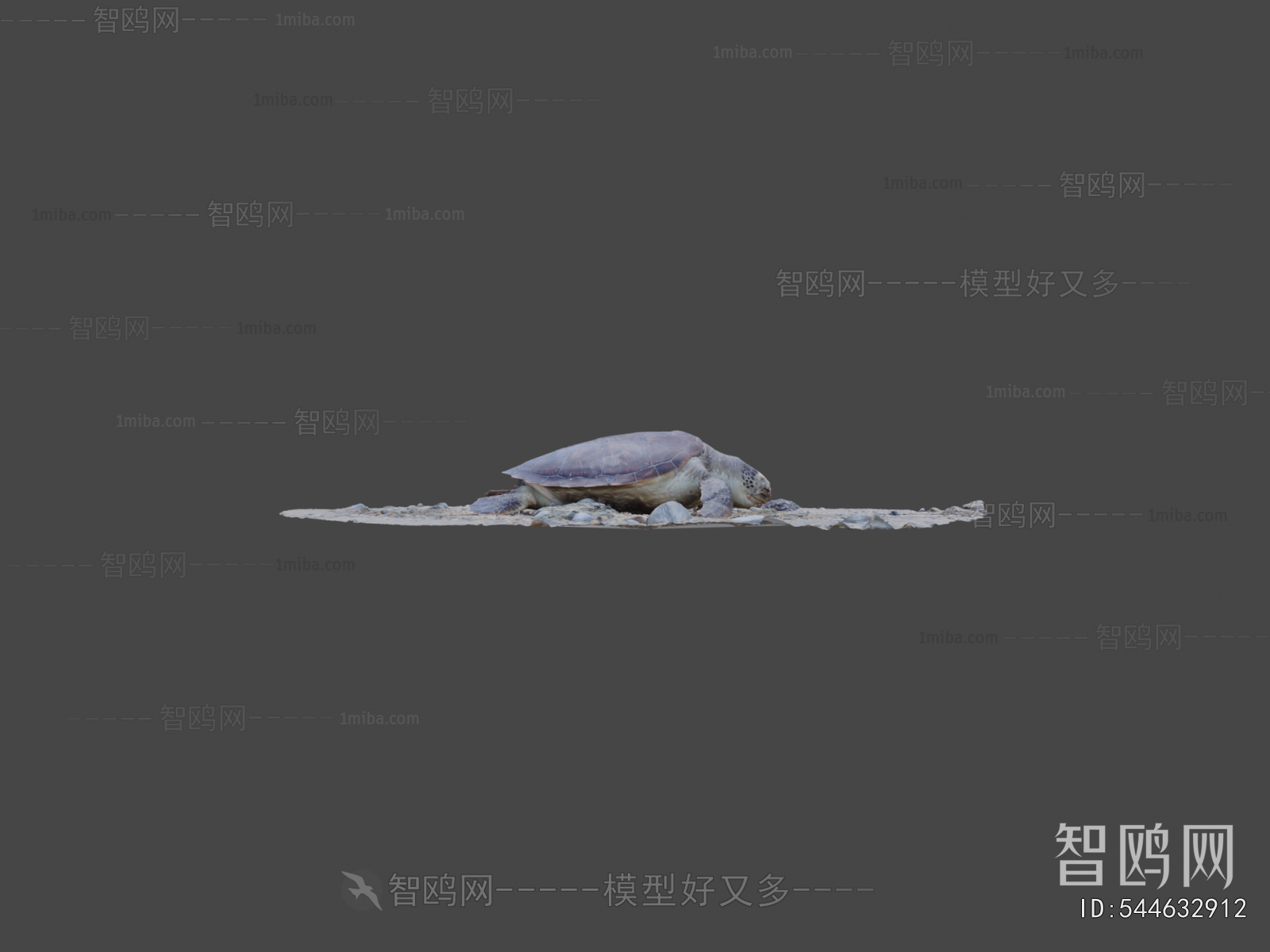 Modern Aquatic Animals