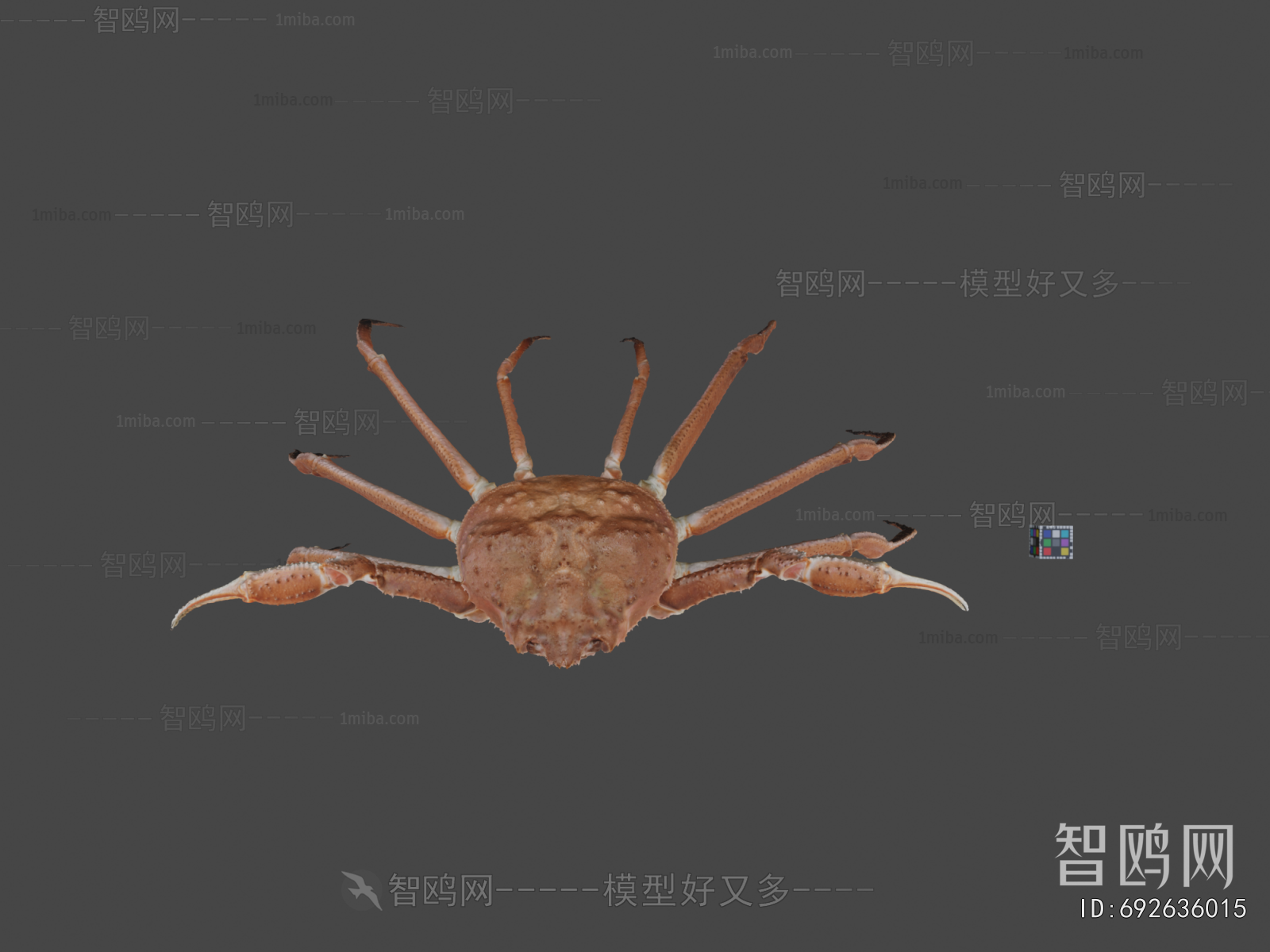 Modern Aquatic Animals