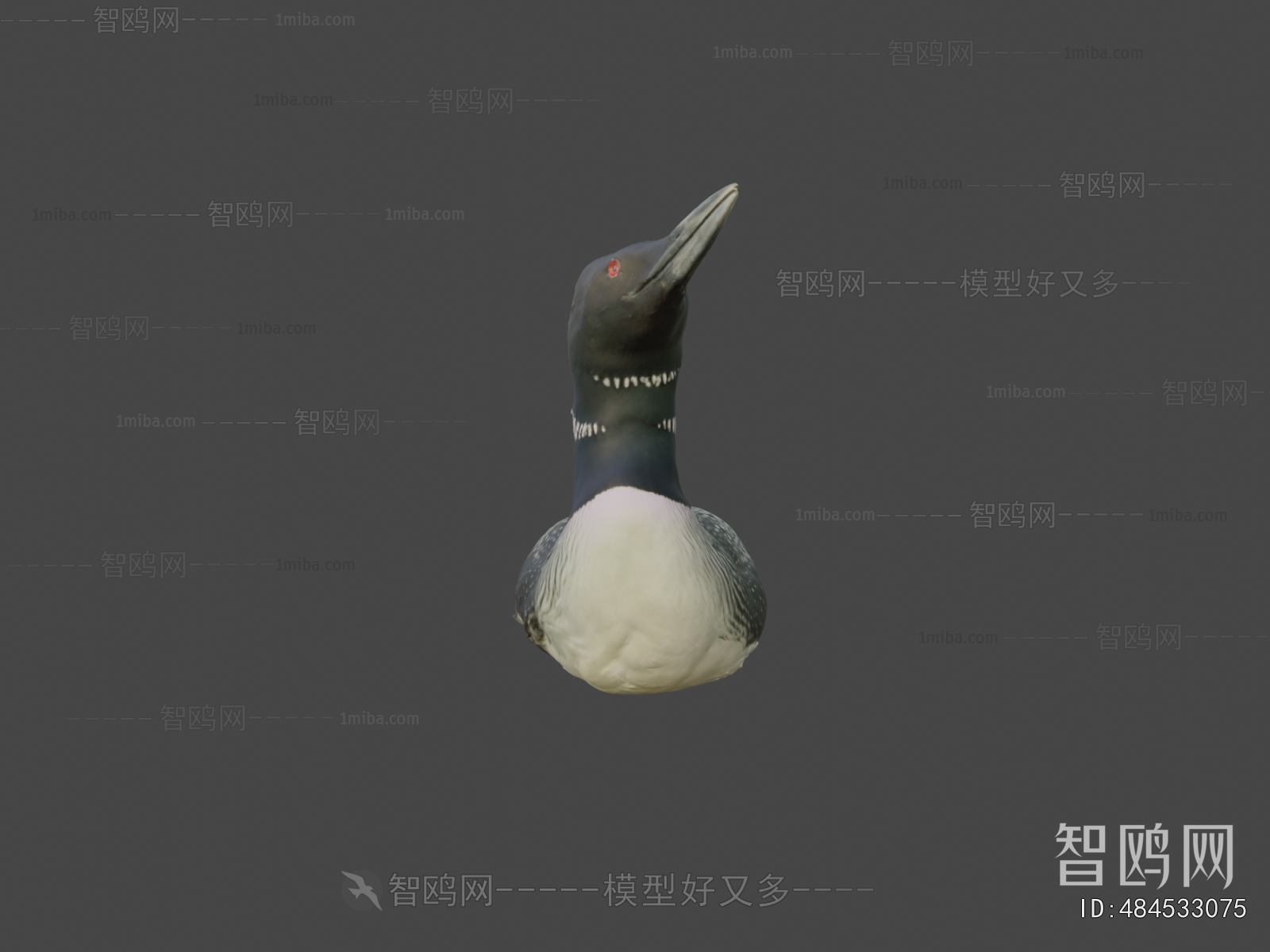 Modern Other Animals