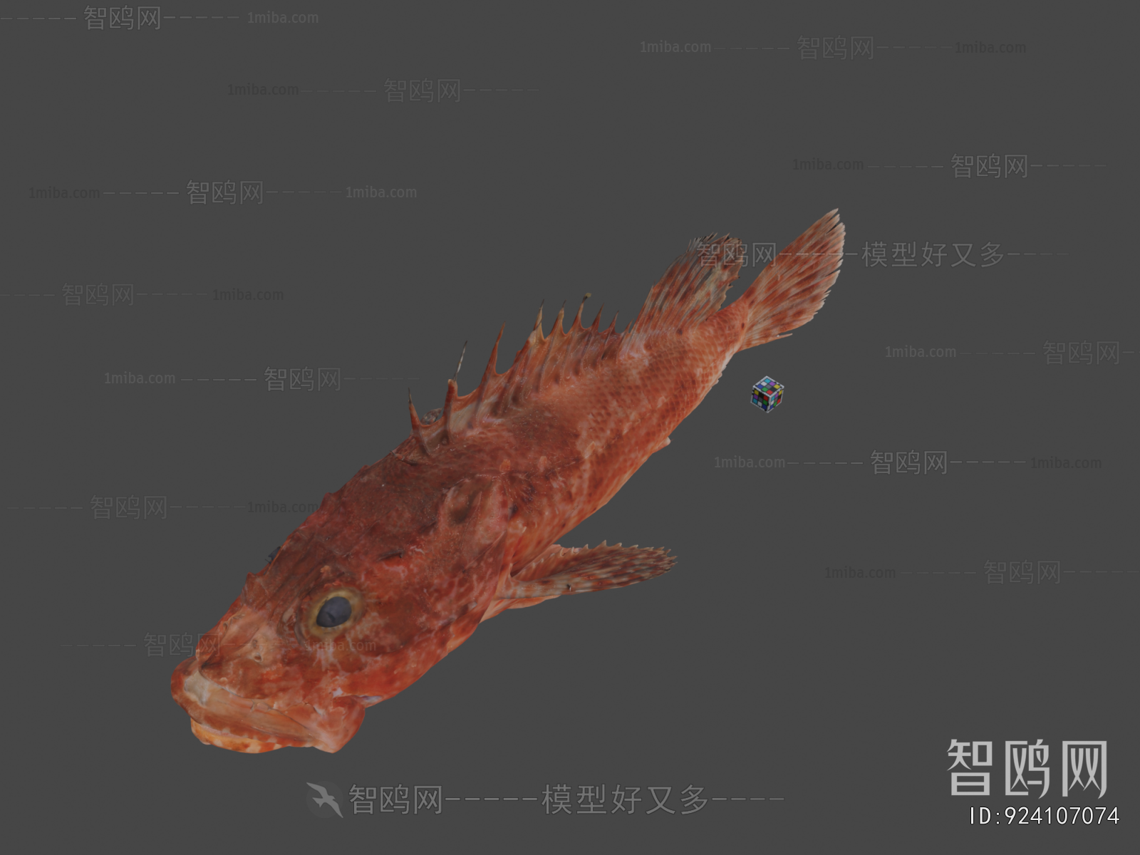 Modern Aquatic Animals