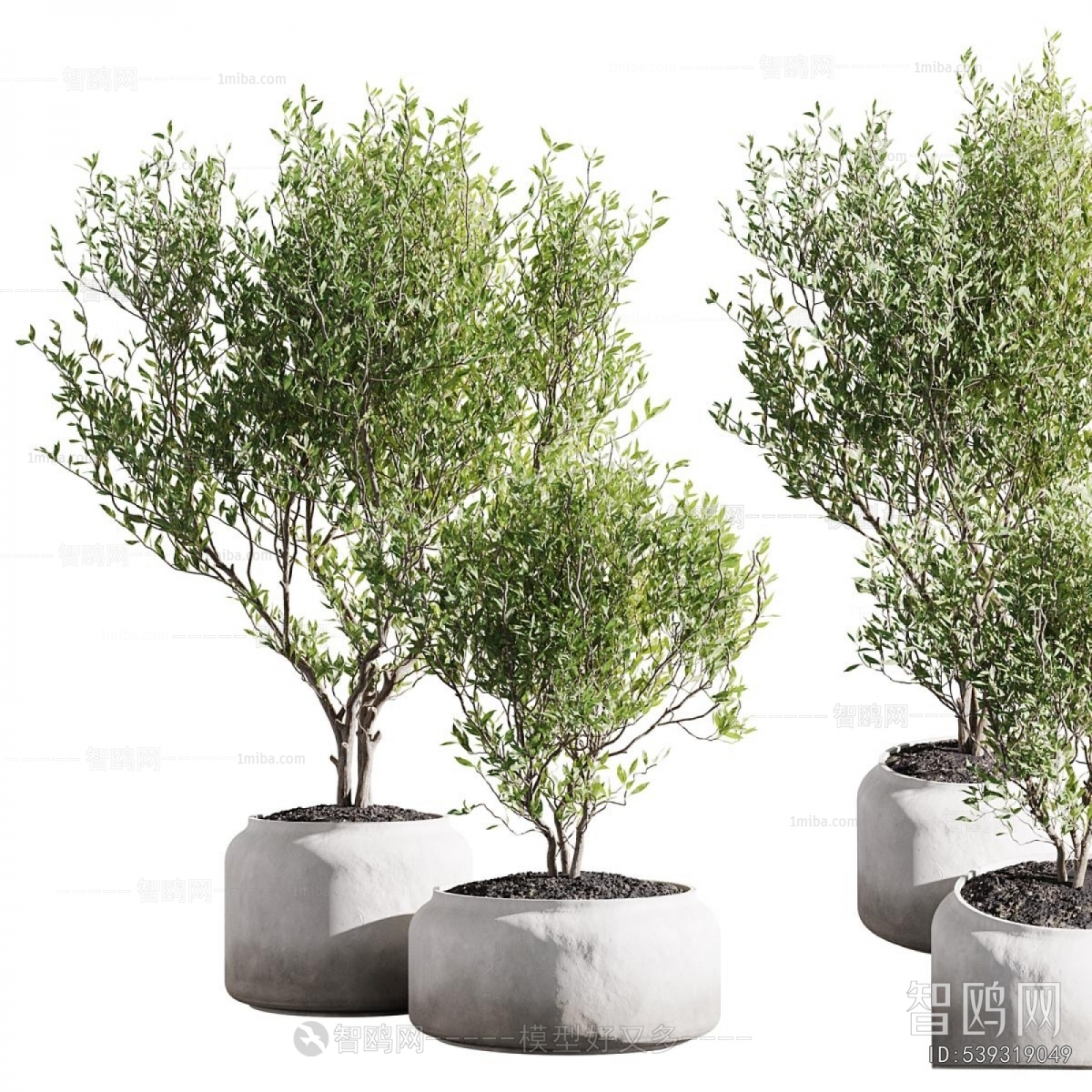 Modern Potted Green Plant