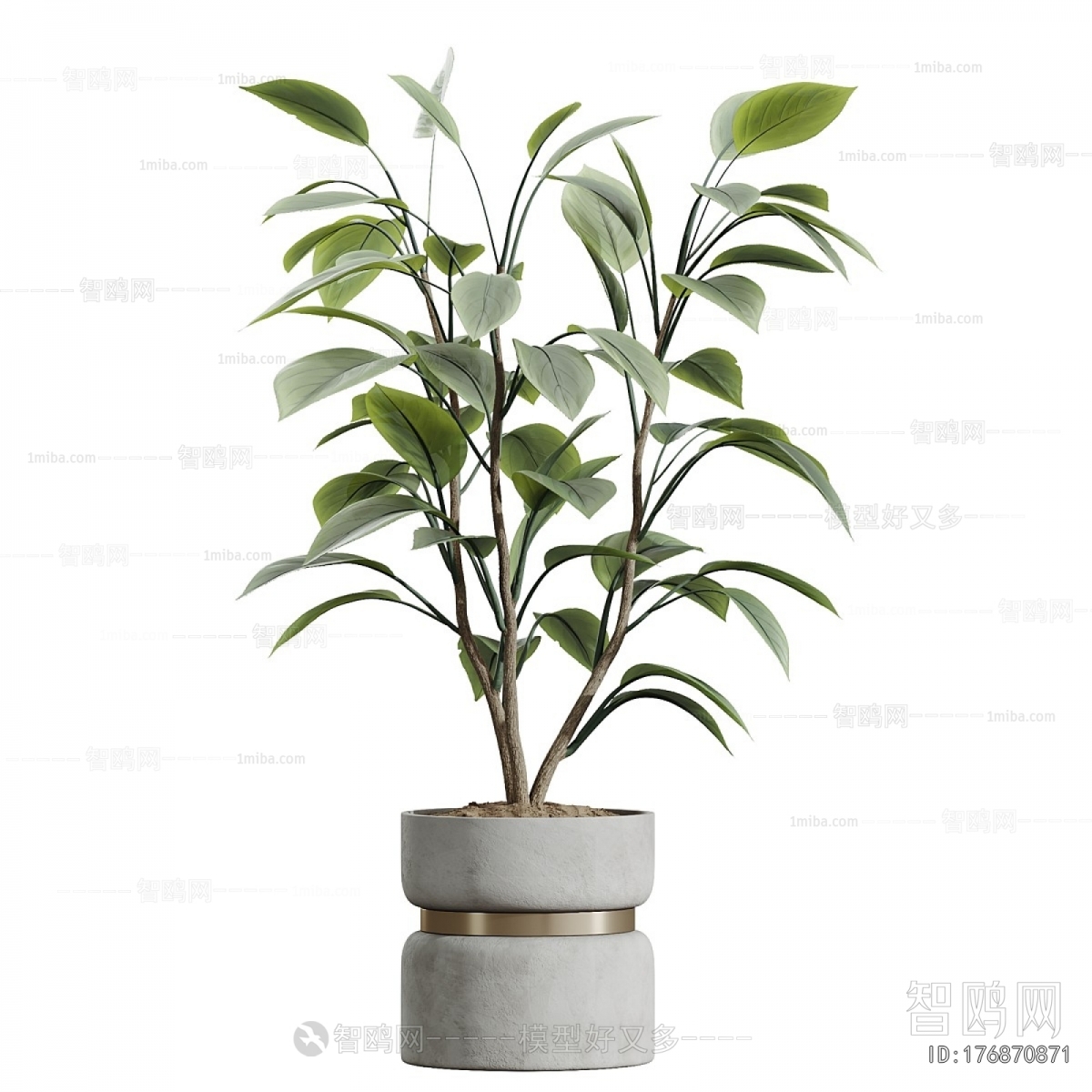 Modern Potted Green Plant