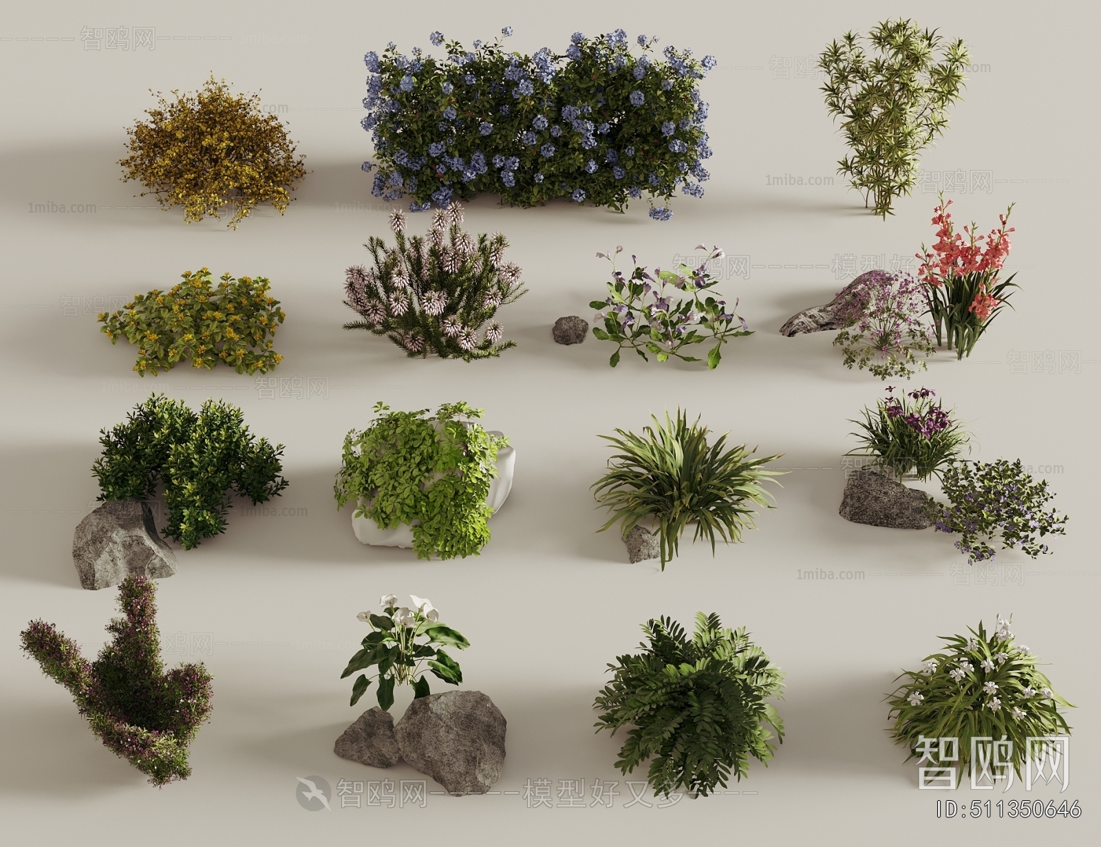 Modern Flowers And Grass