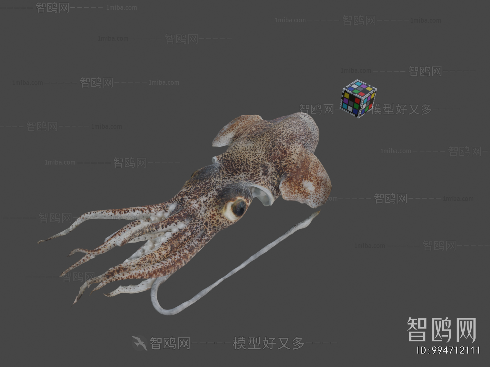 Modern Aquatic Animals