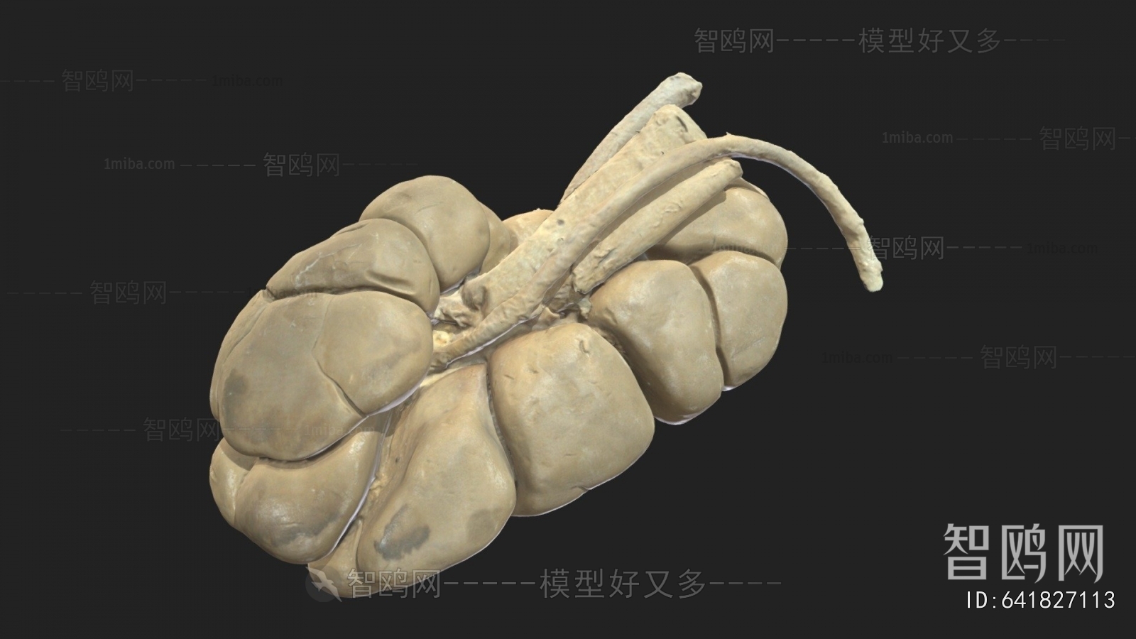 Modern Medical Equipment