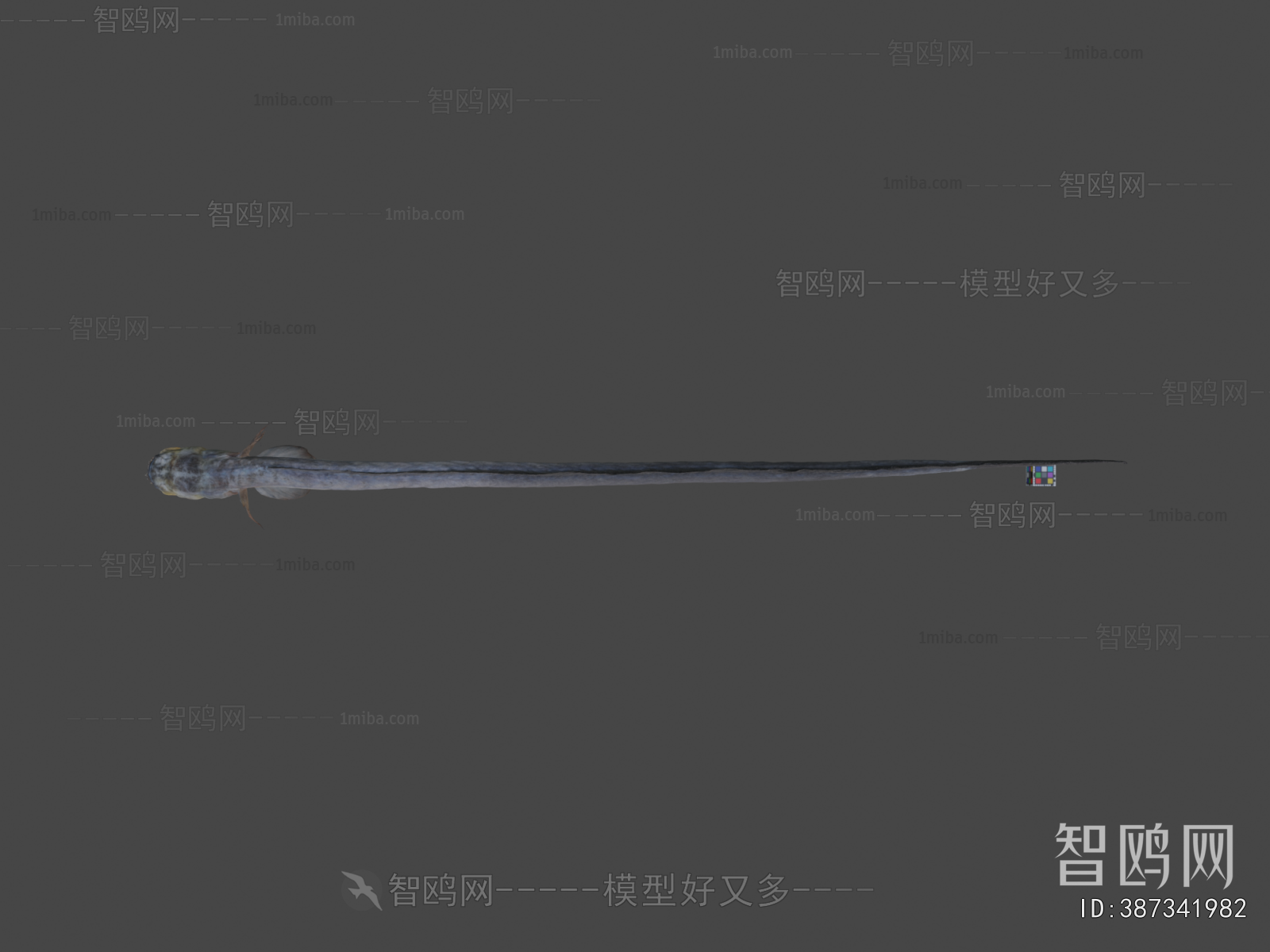 Modern Aquatic Animals