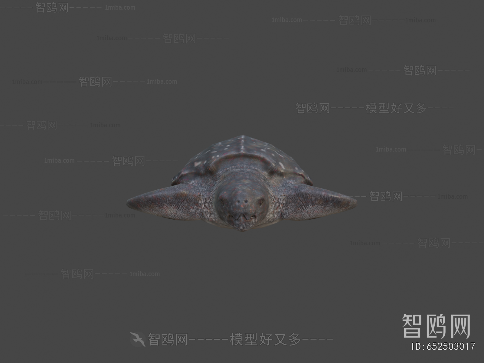 Modern Aquatic Animals