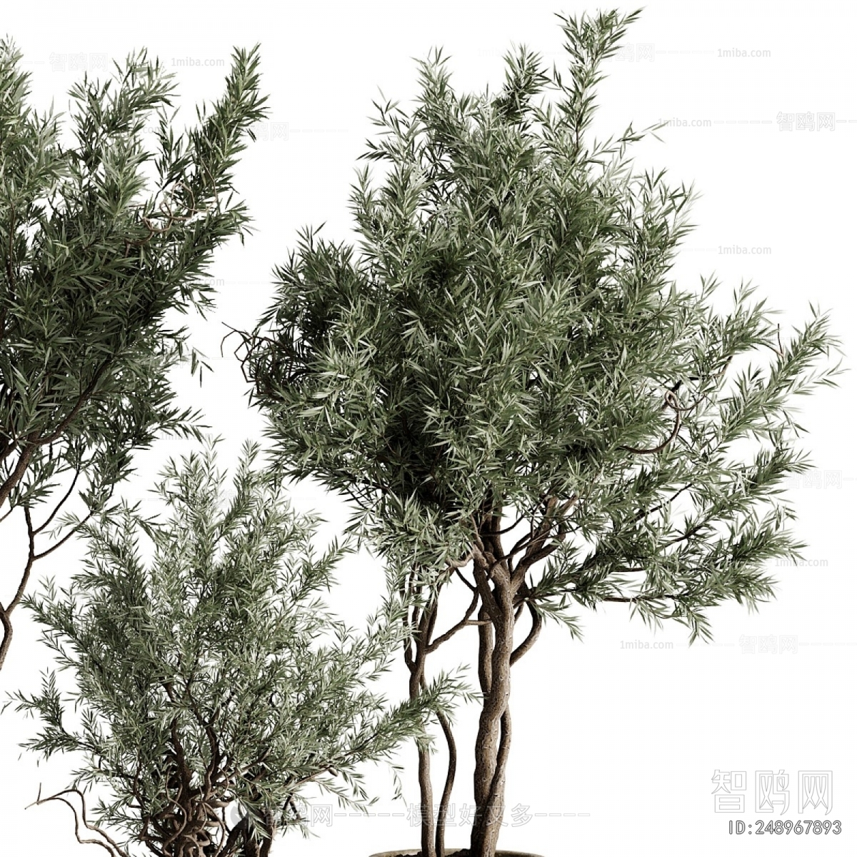 Modern Ground Green Plant Potted Plants