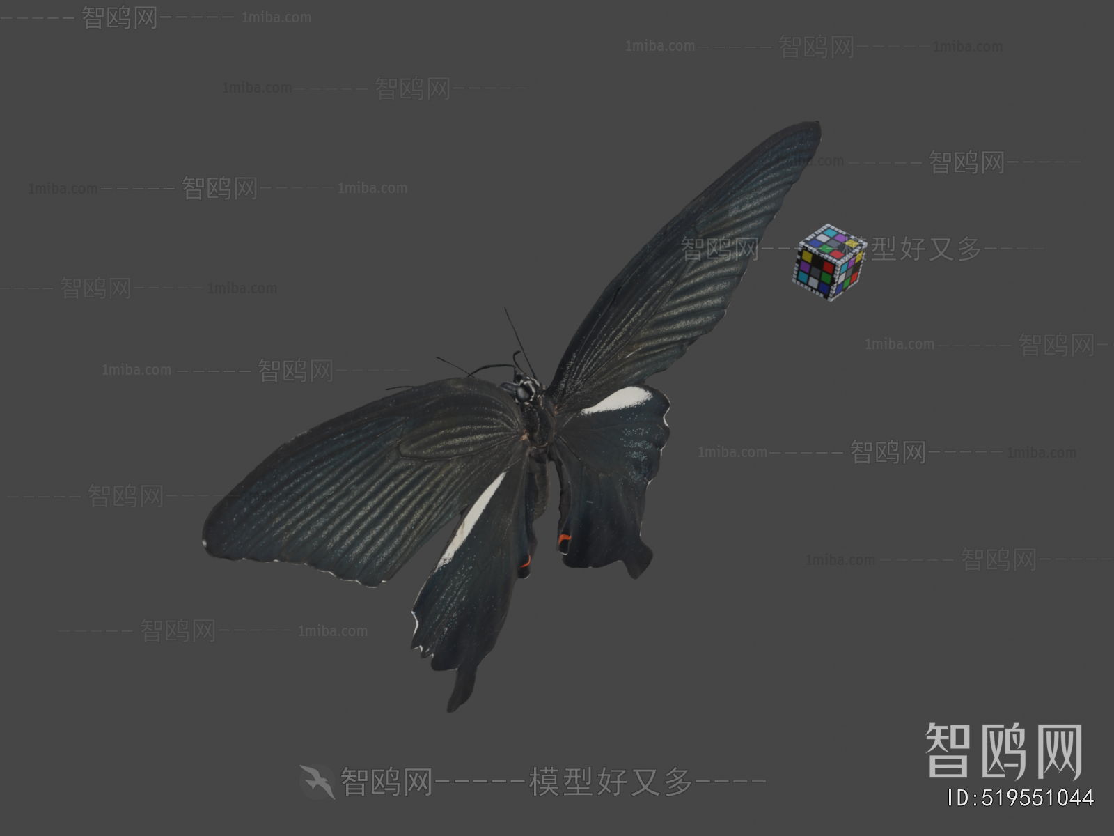 Modern Flying Animals