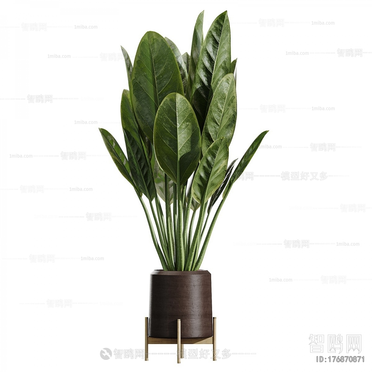 Modern Potted Green Plant