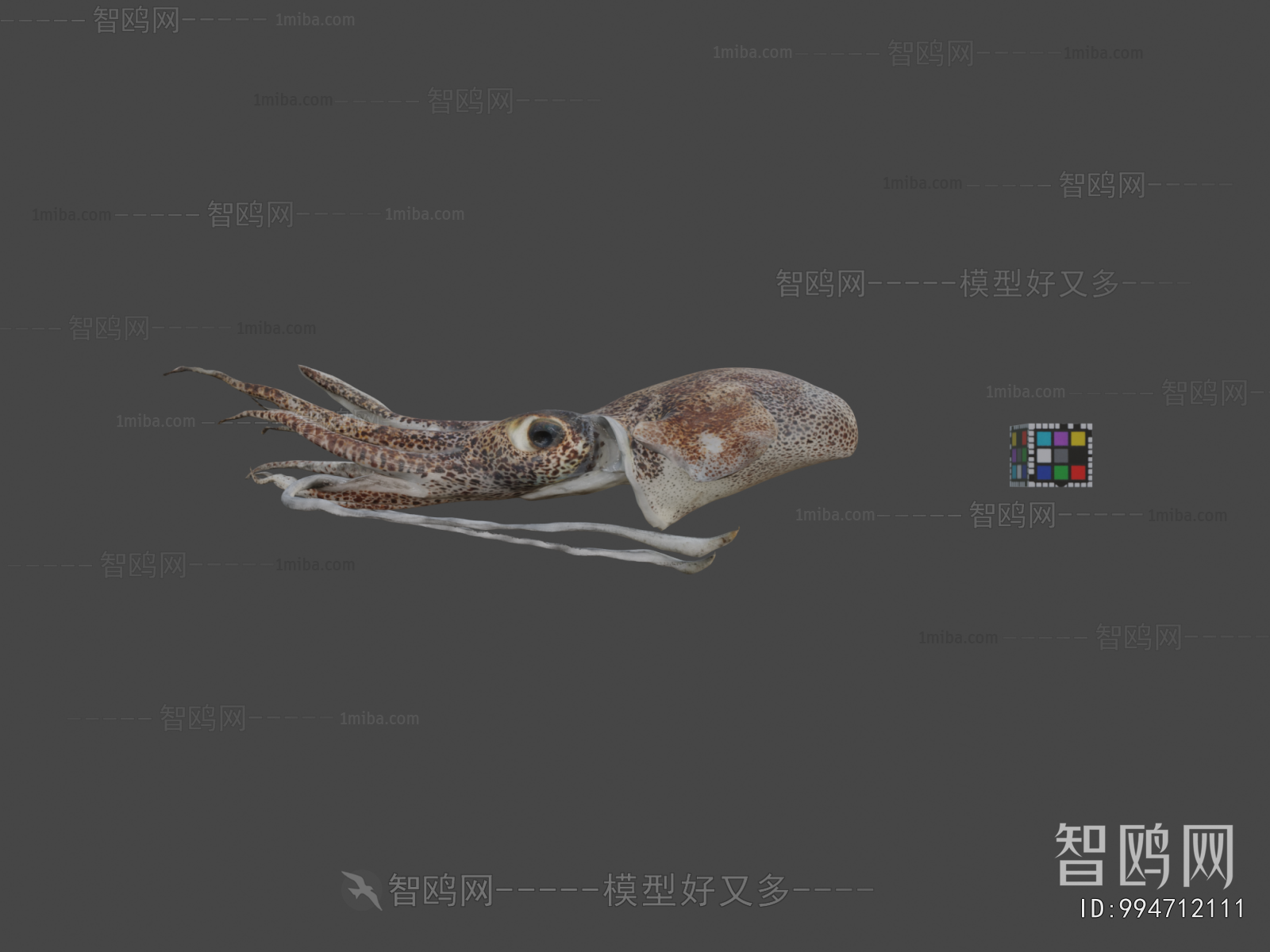 Modern Aquatic Animals