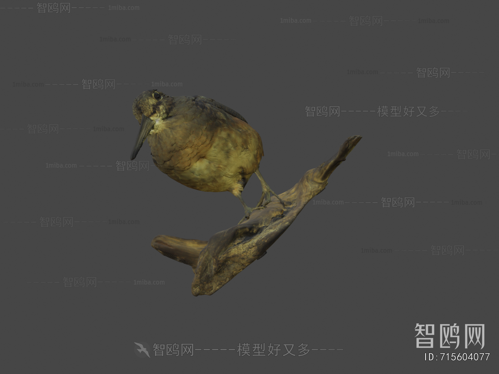 Modern Flying Animals