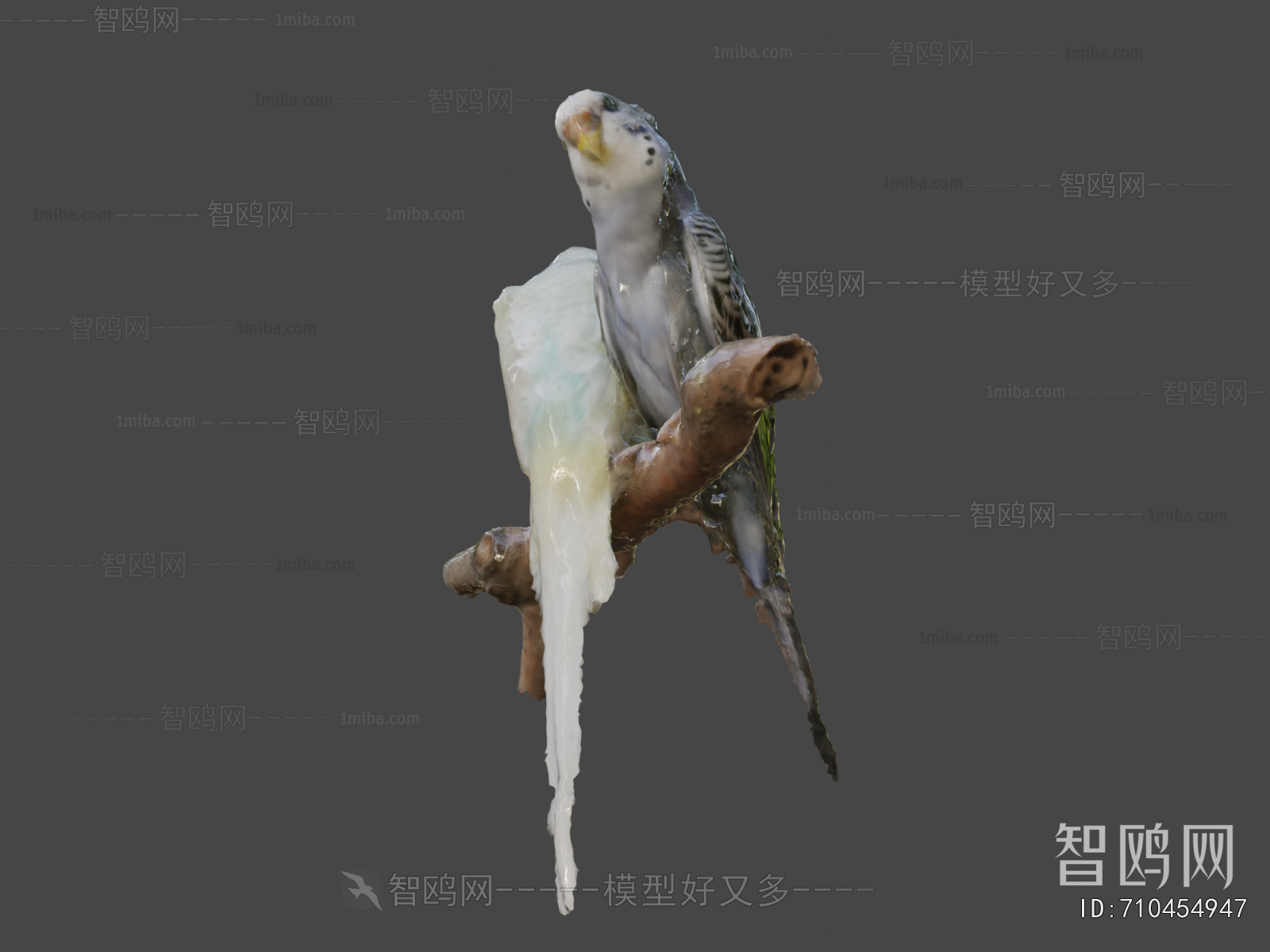 Modern Flying Animals