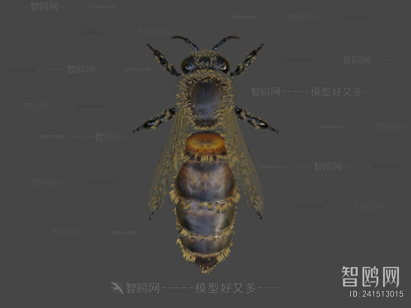 Modern Flying Animals