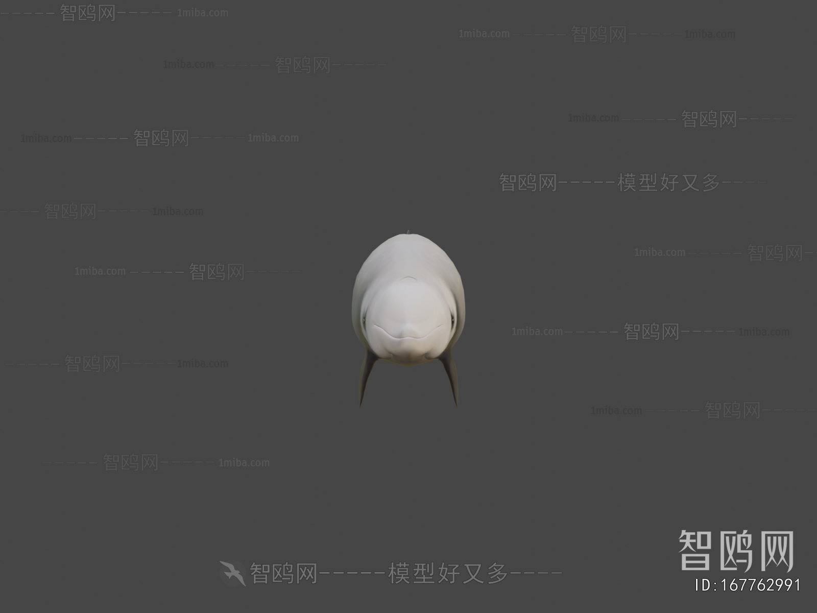 Modern Aquatic Animals