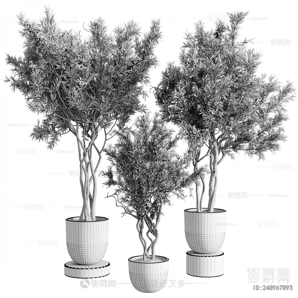 Modern Ground Green Plant Potted Plants