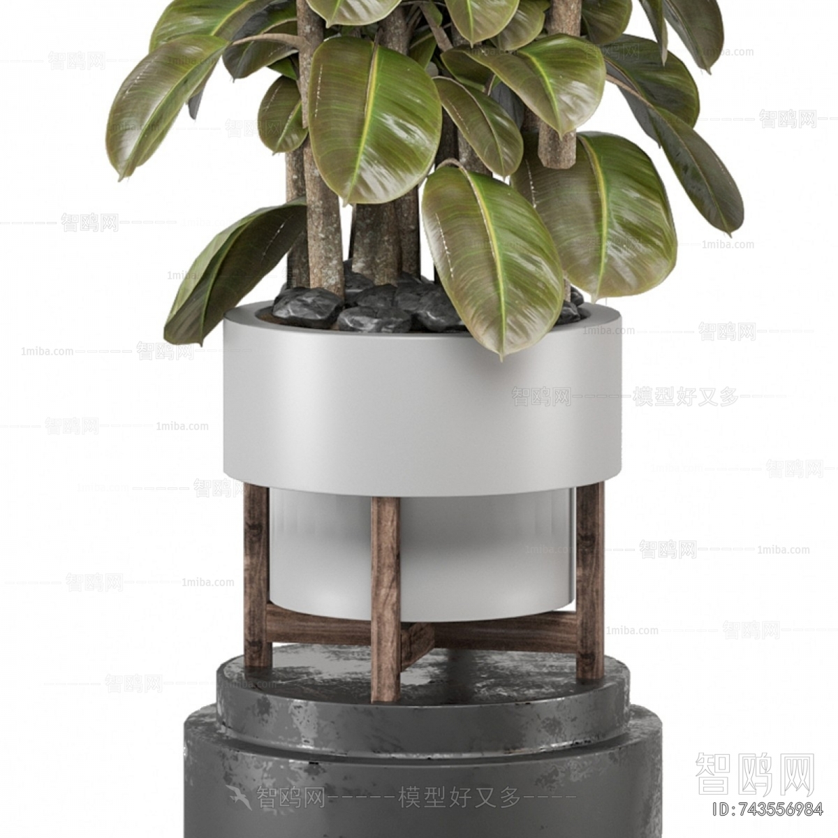Modern Ground Green Plant Potted Plants