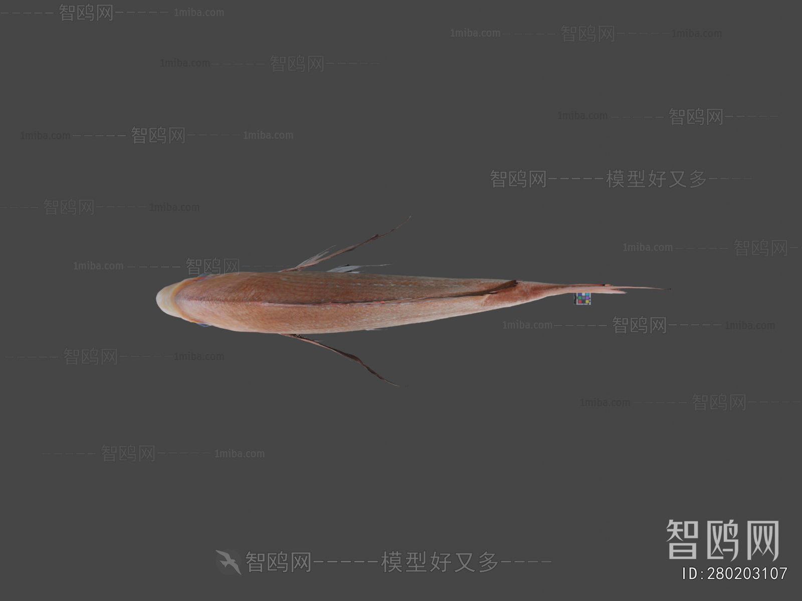 Modern Aquatic Animals