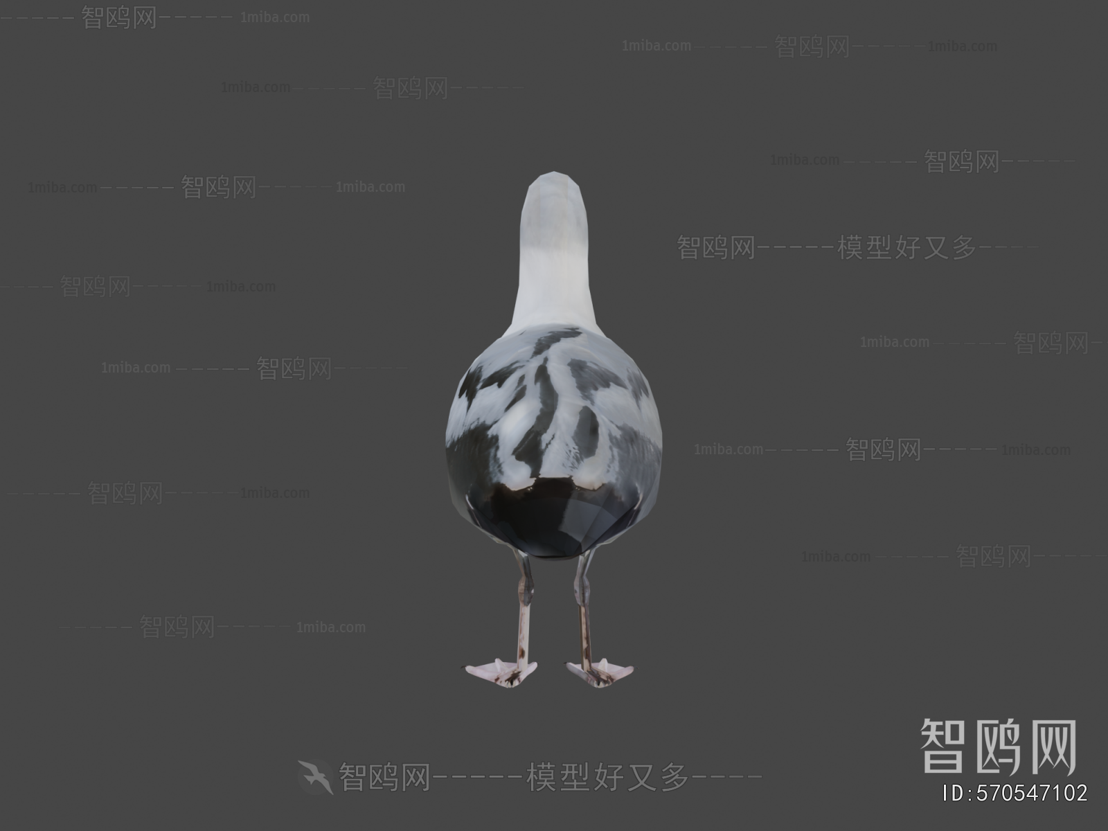 Modern Flying Animals