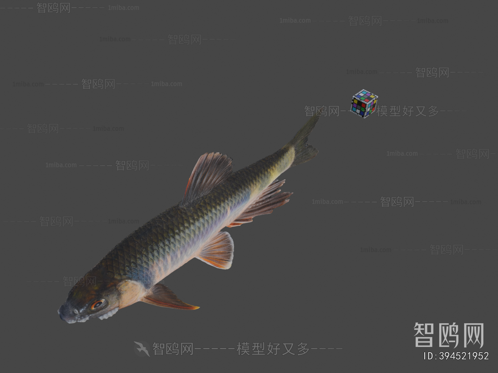 Modern Aquatic Animals