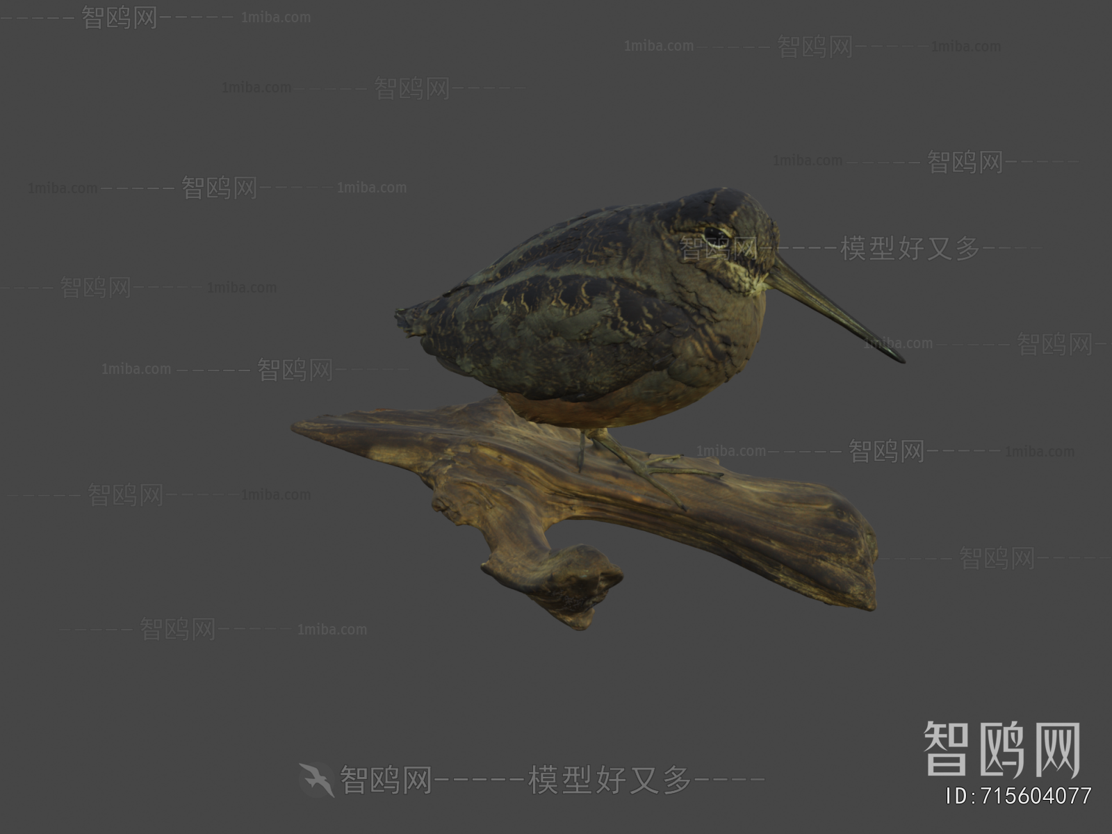 Modern Flying Animals