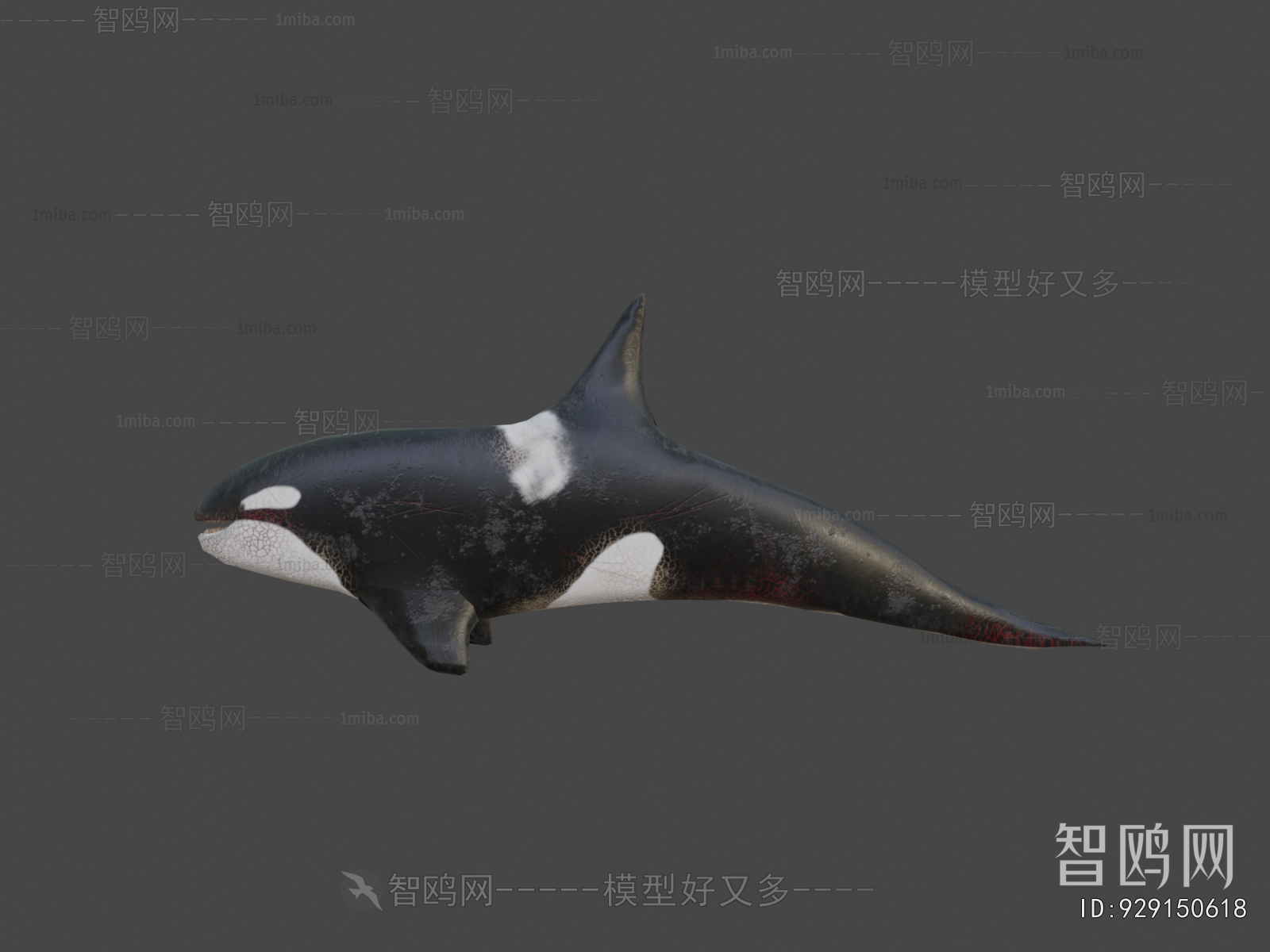 Modern Aquatic Animals